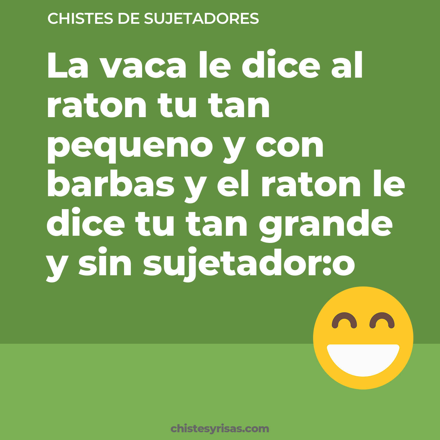 chistes de Sujetadores cortos