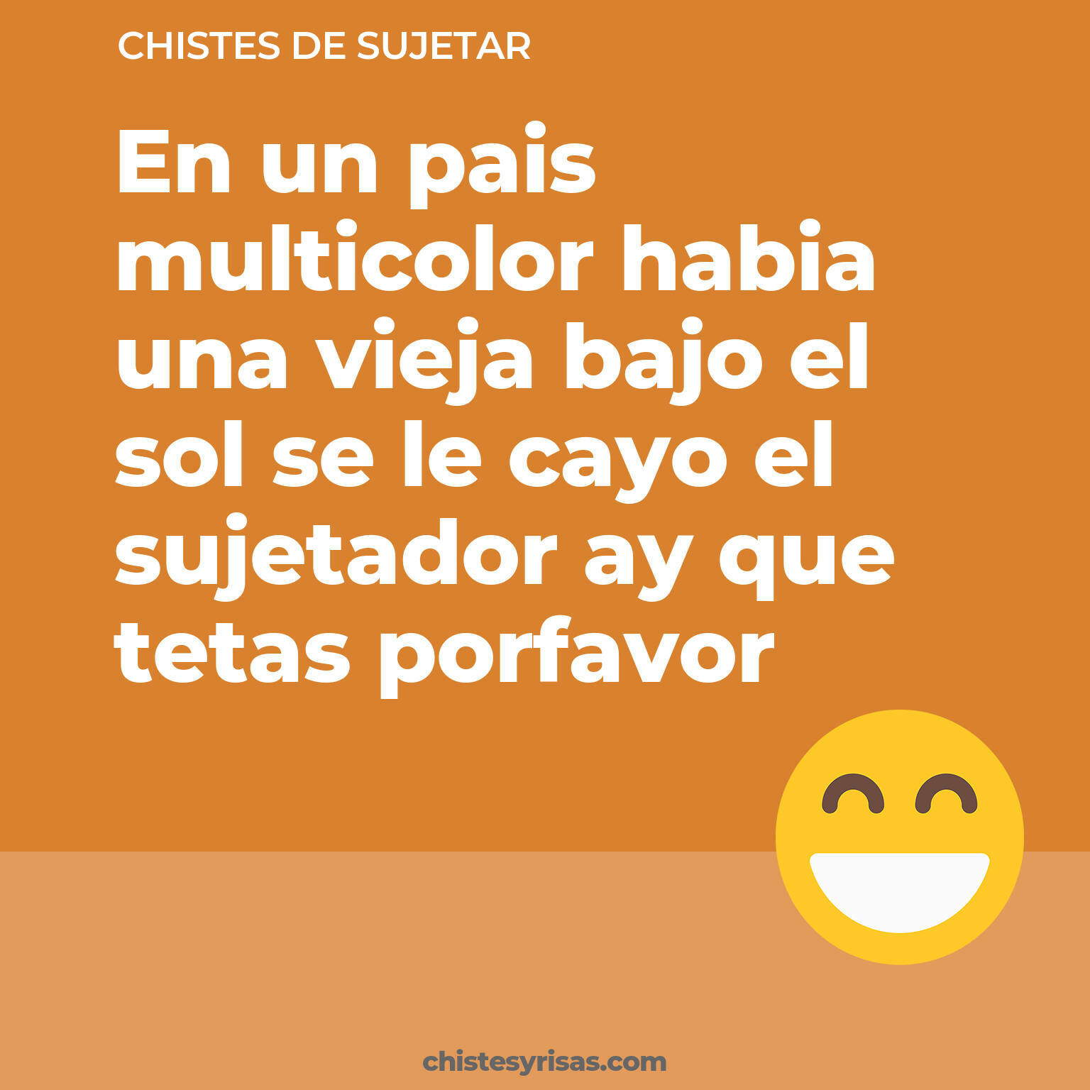 chistes de Sujetar buenos