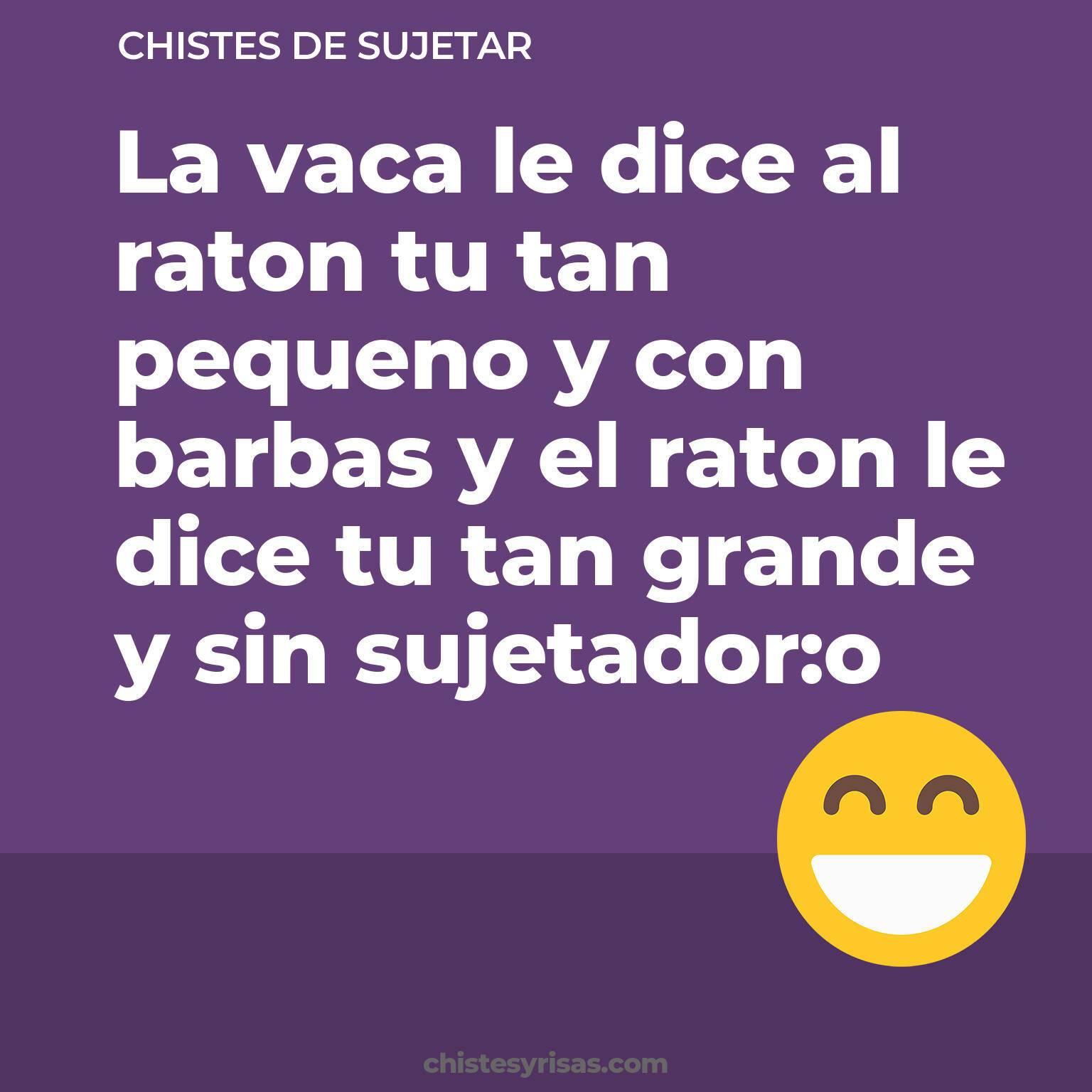 chistes de Sujetar cortos