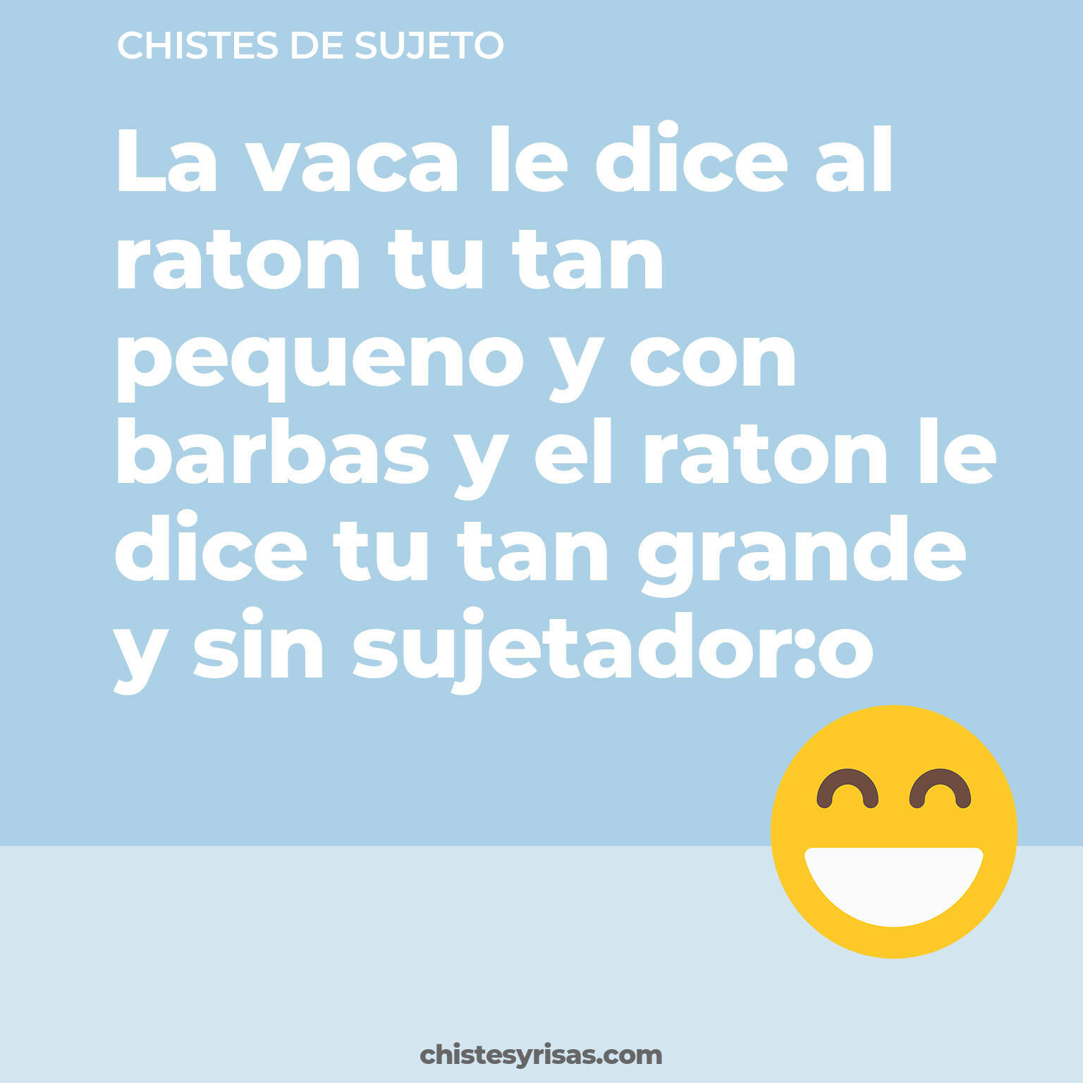 chistes de Sujeto cortos