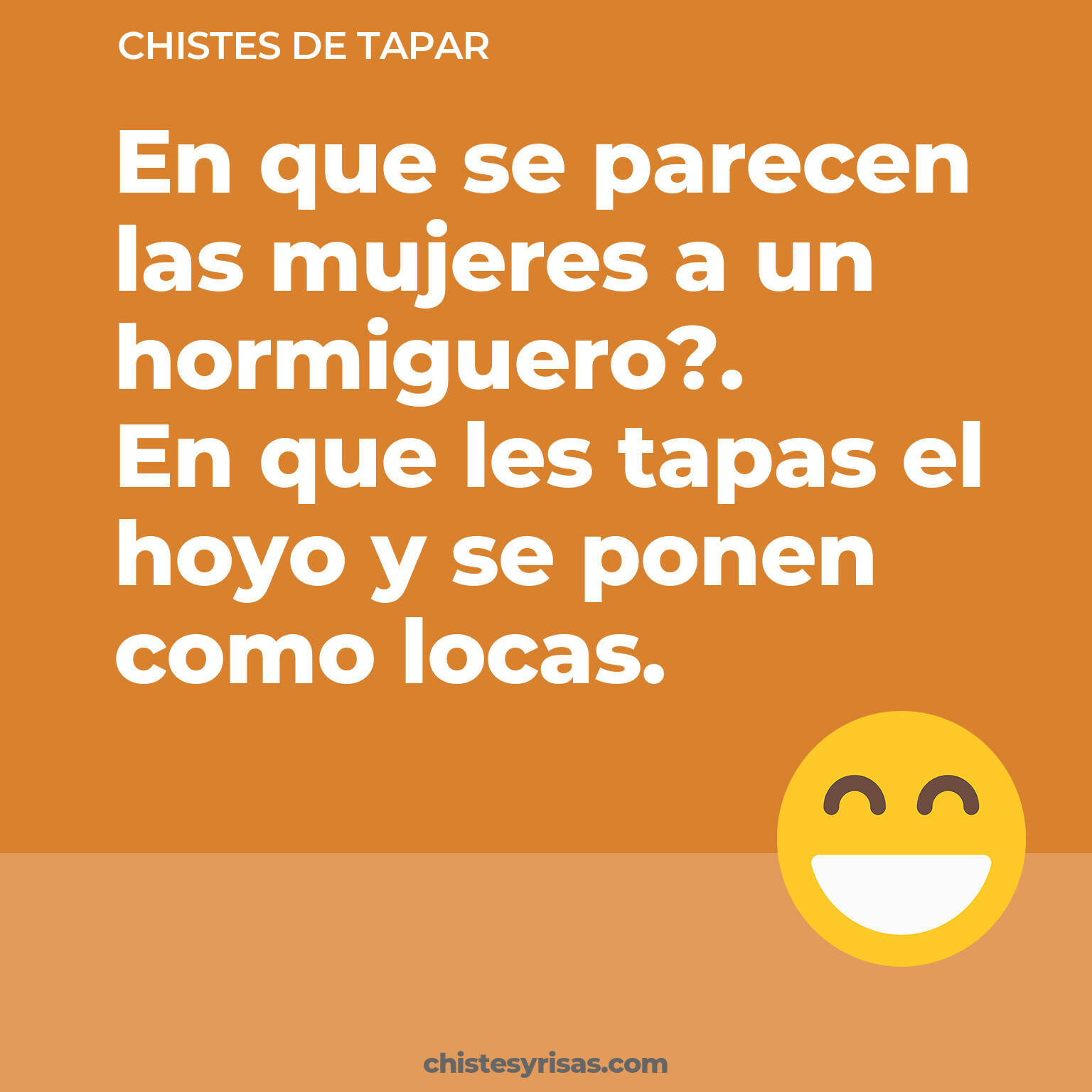 chistes de Tapar cortos