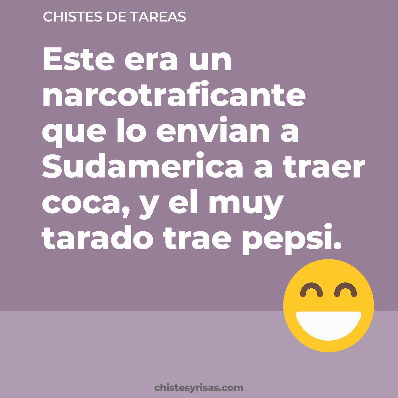 chistes de Tareas más graciosos