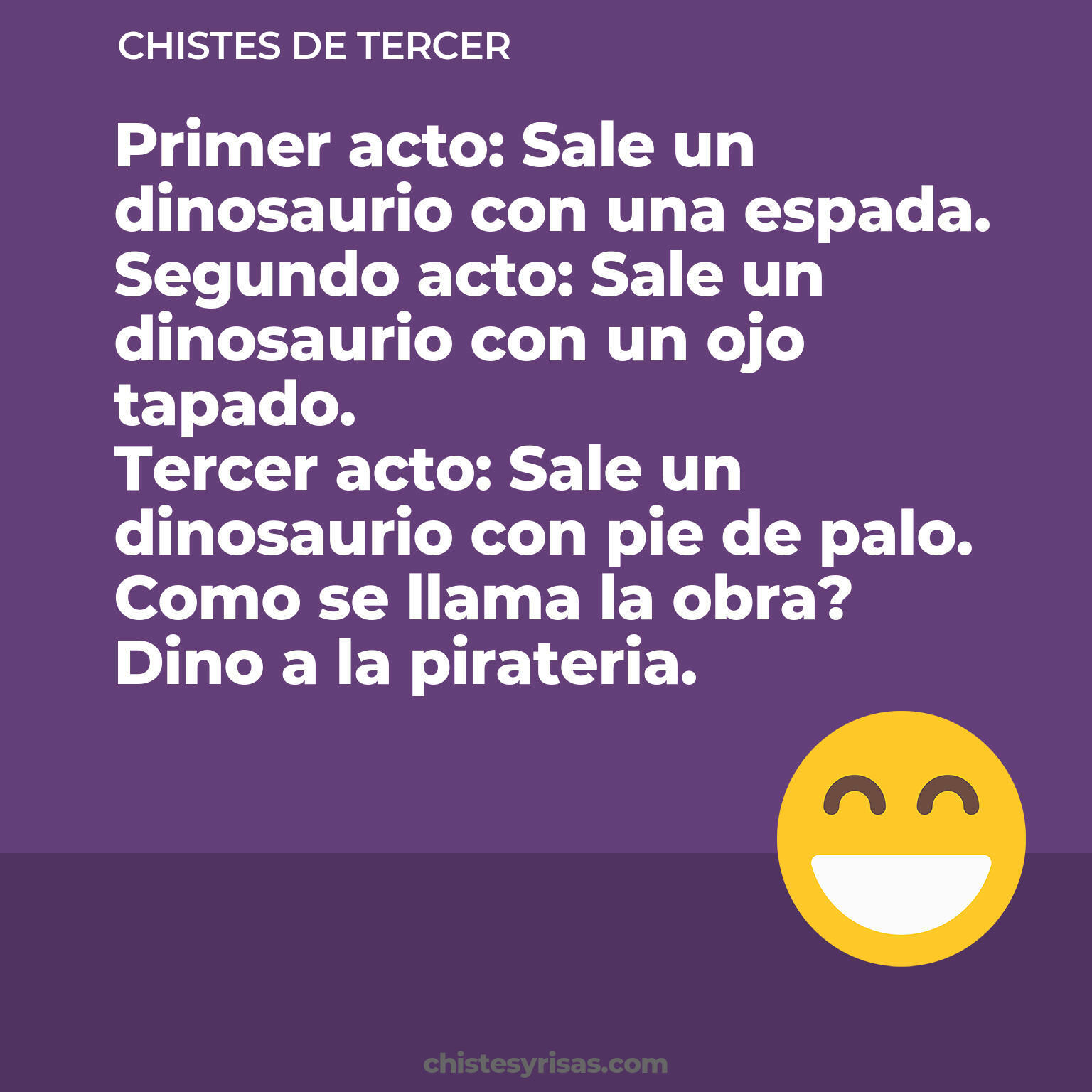 chistes de Tercer más graciosos