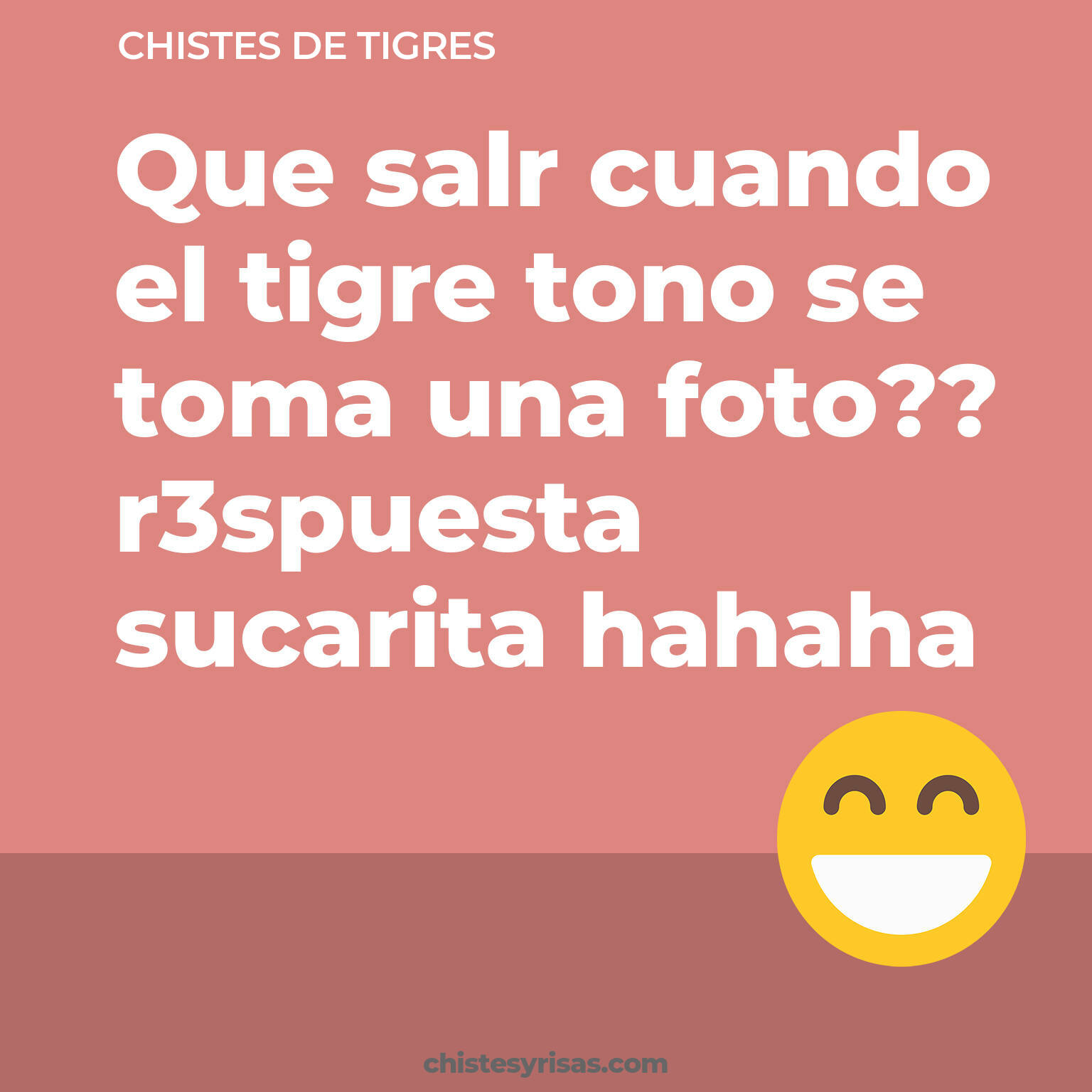 chistes de Tigres más graciosos