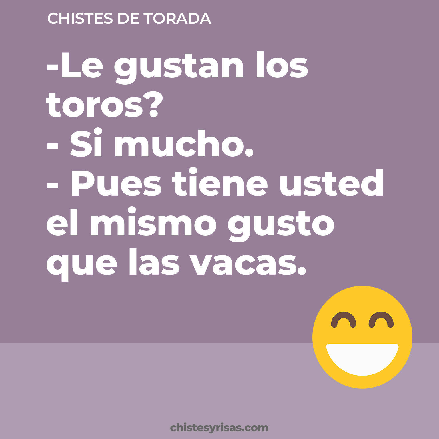 chistes de Torada buenos