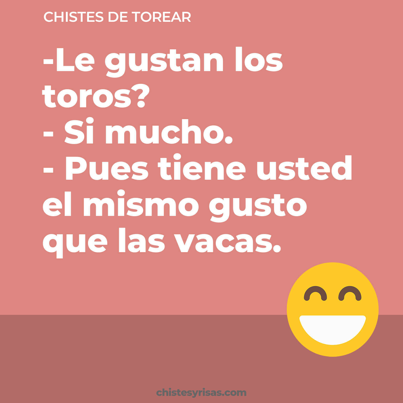 chistes de Torear buenos