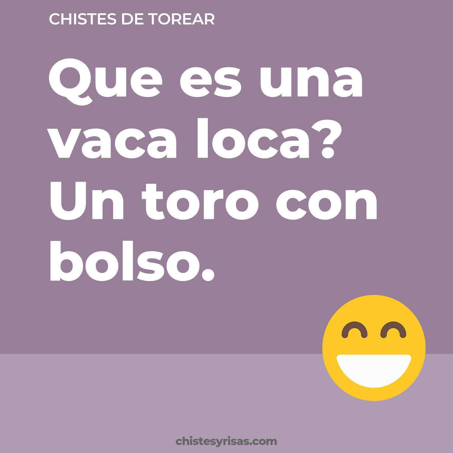 chistes de Torear cortos