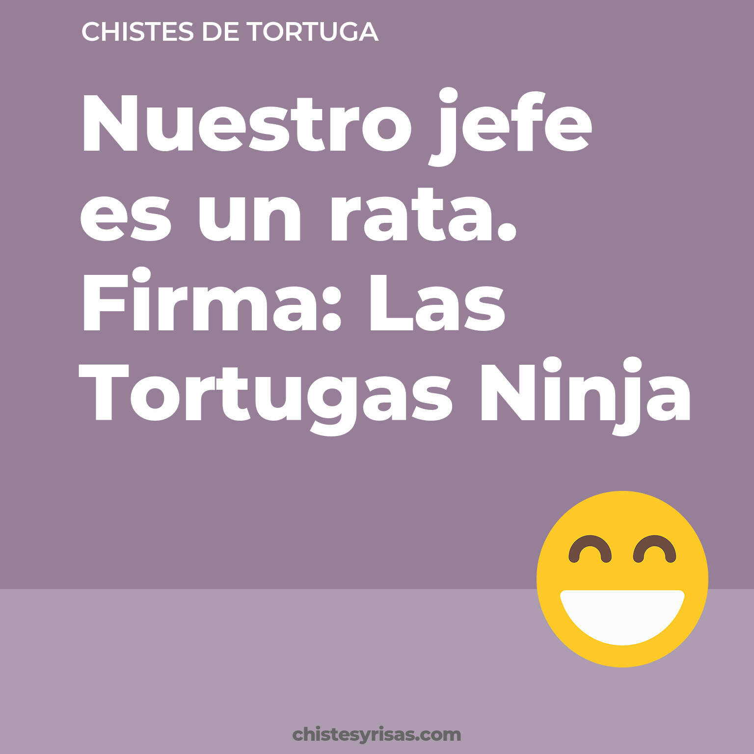 chistes de Tortuga más graciosos