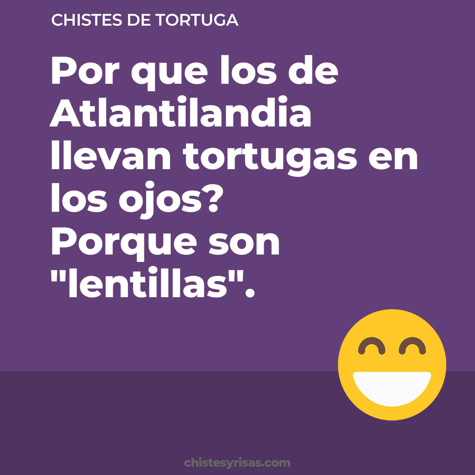 chistes de Tortuga buenos