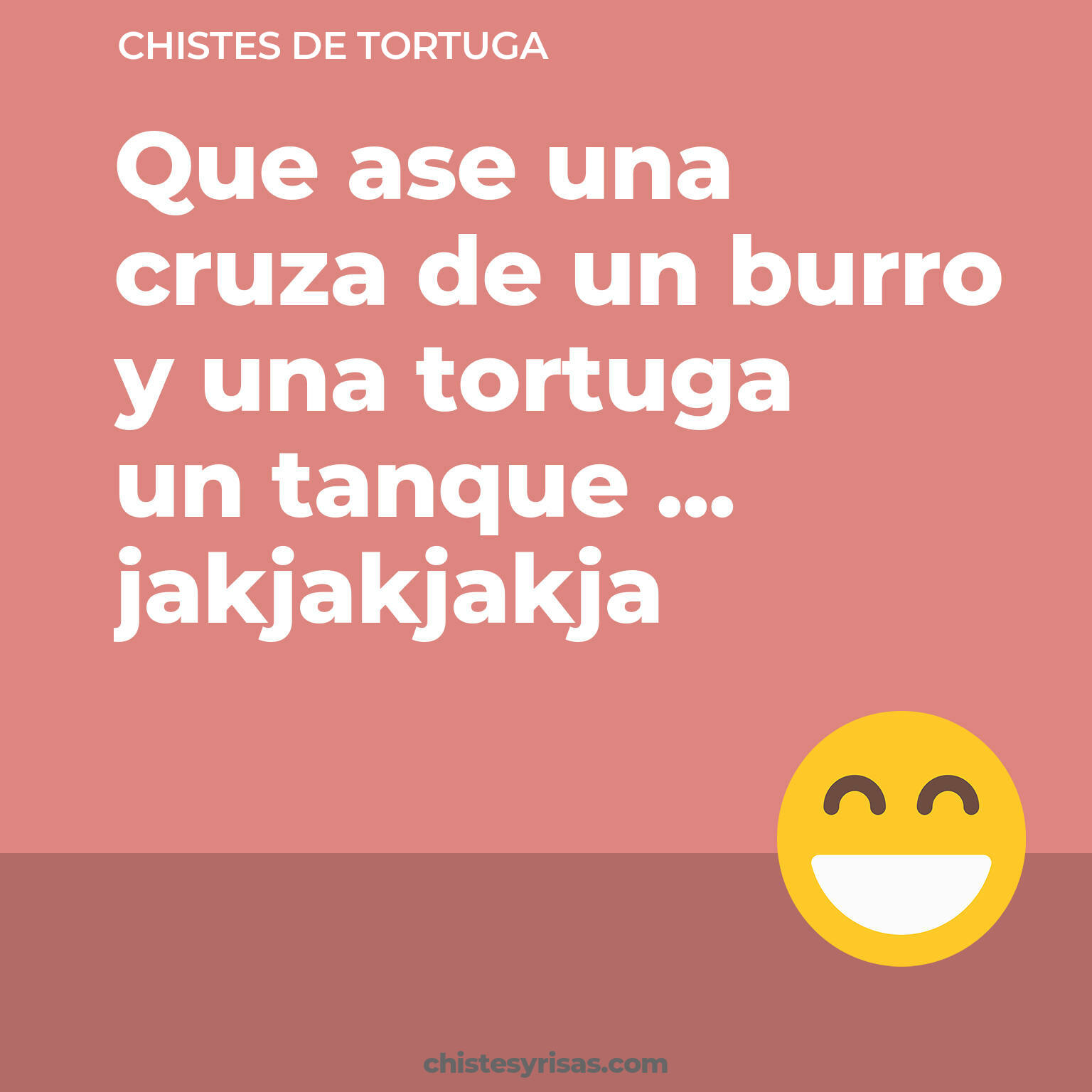 chistes de Tortuga cortos