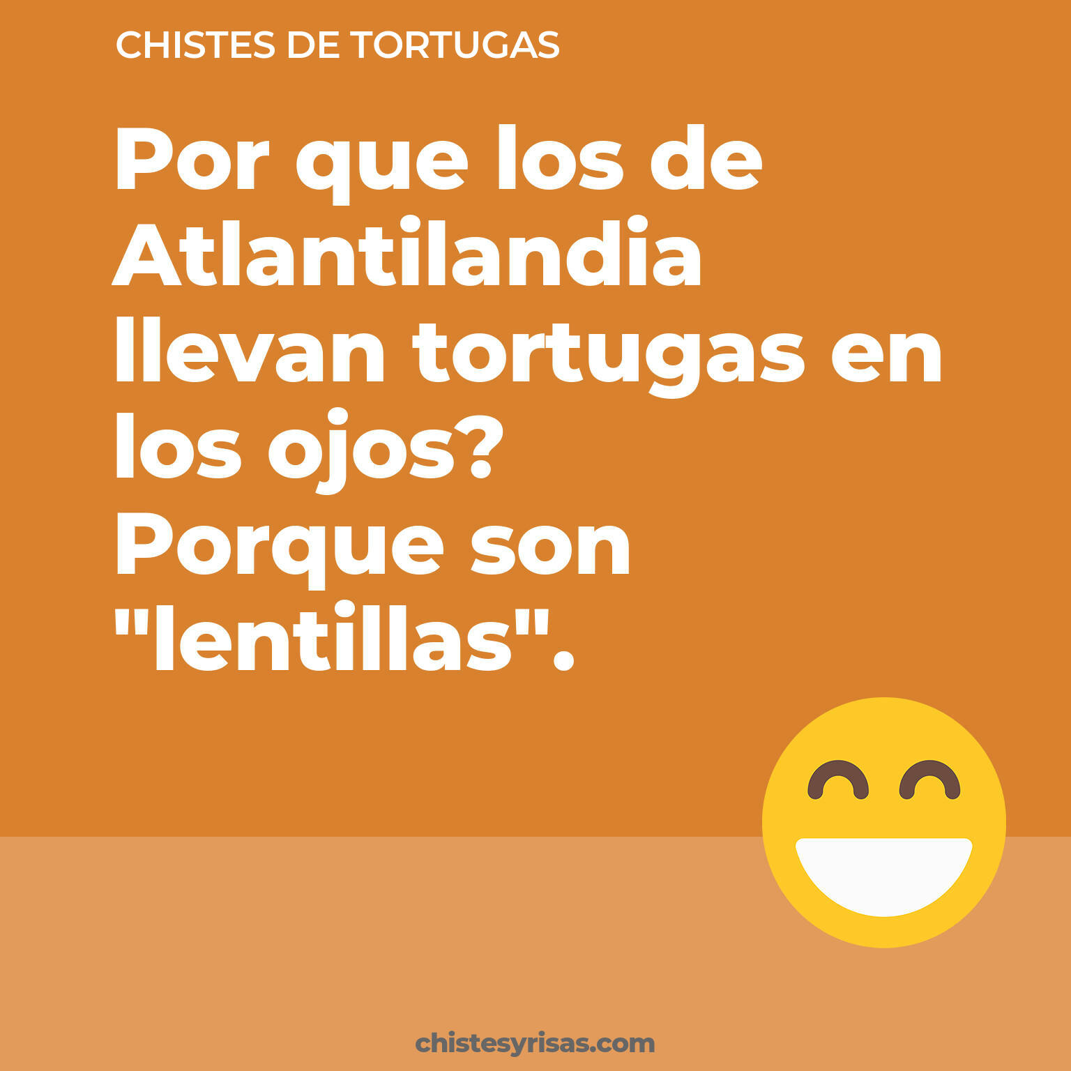 chistes de Tortugas buenos