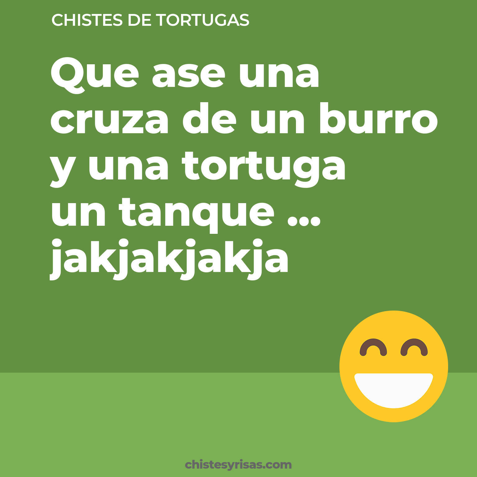 chistes de Tortugas cortos