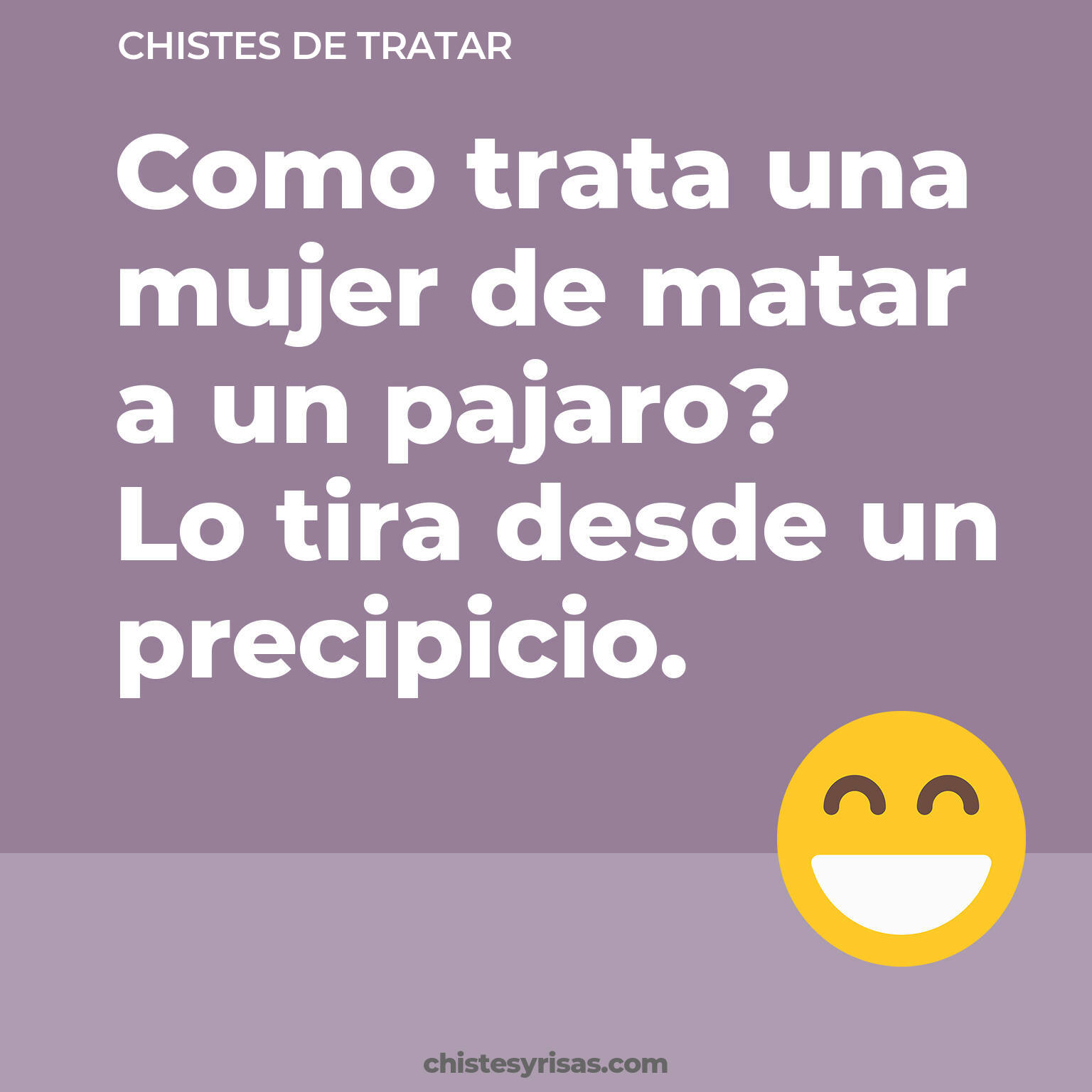 chistes de Tratar cortos