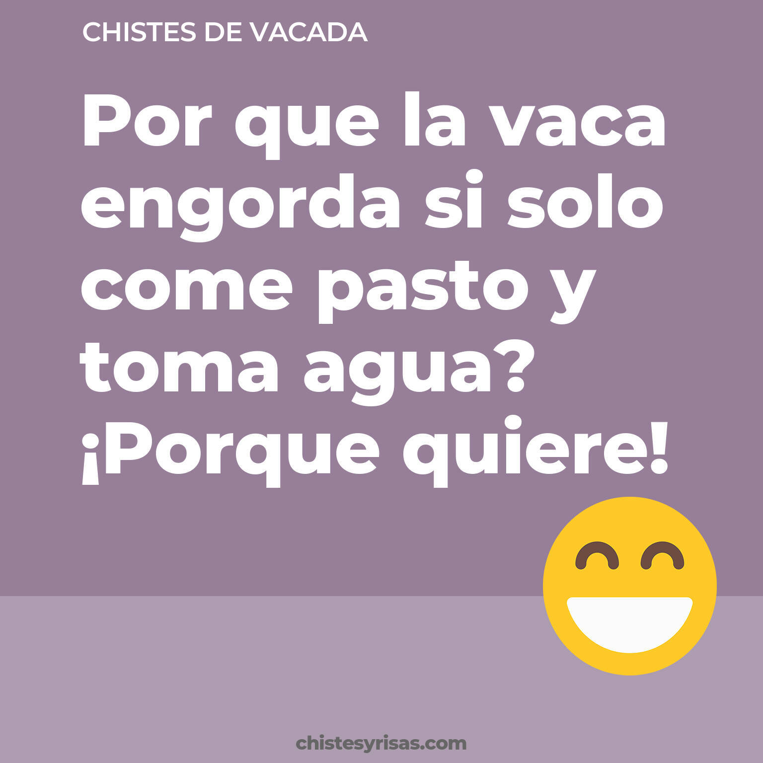 chistes de Vacada más graciosos