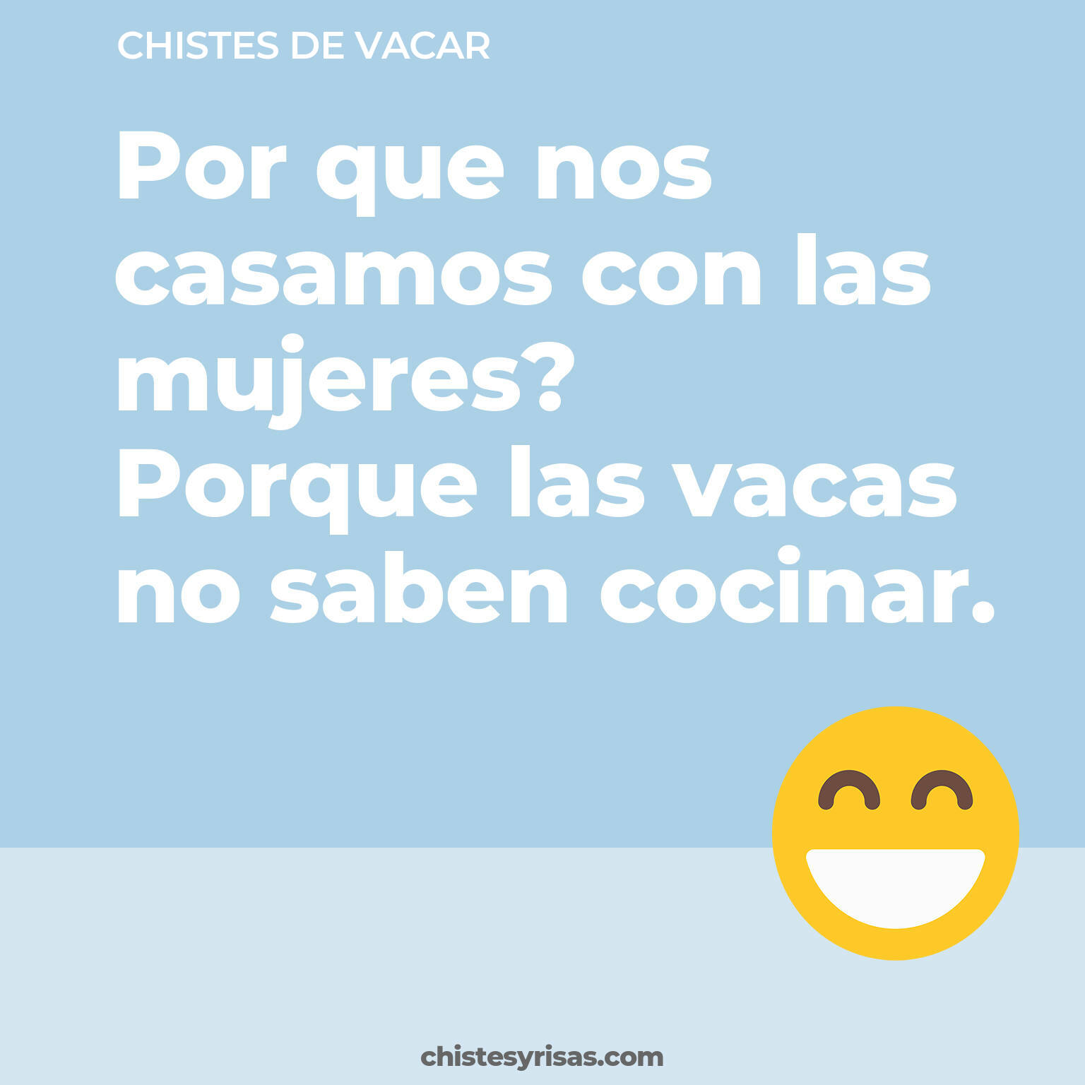 chistes de Vacar cortos