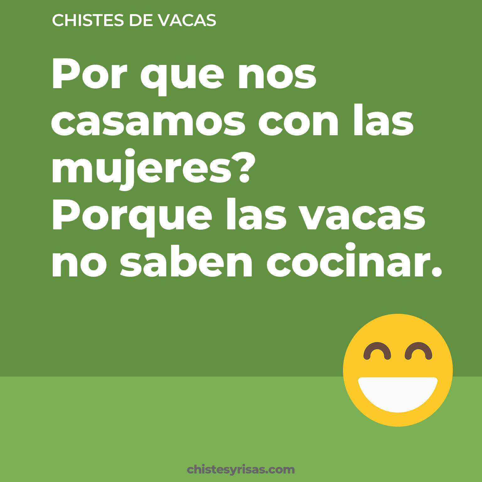 chistes de Vacas cortos