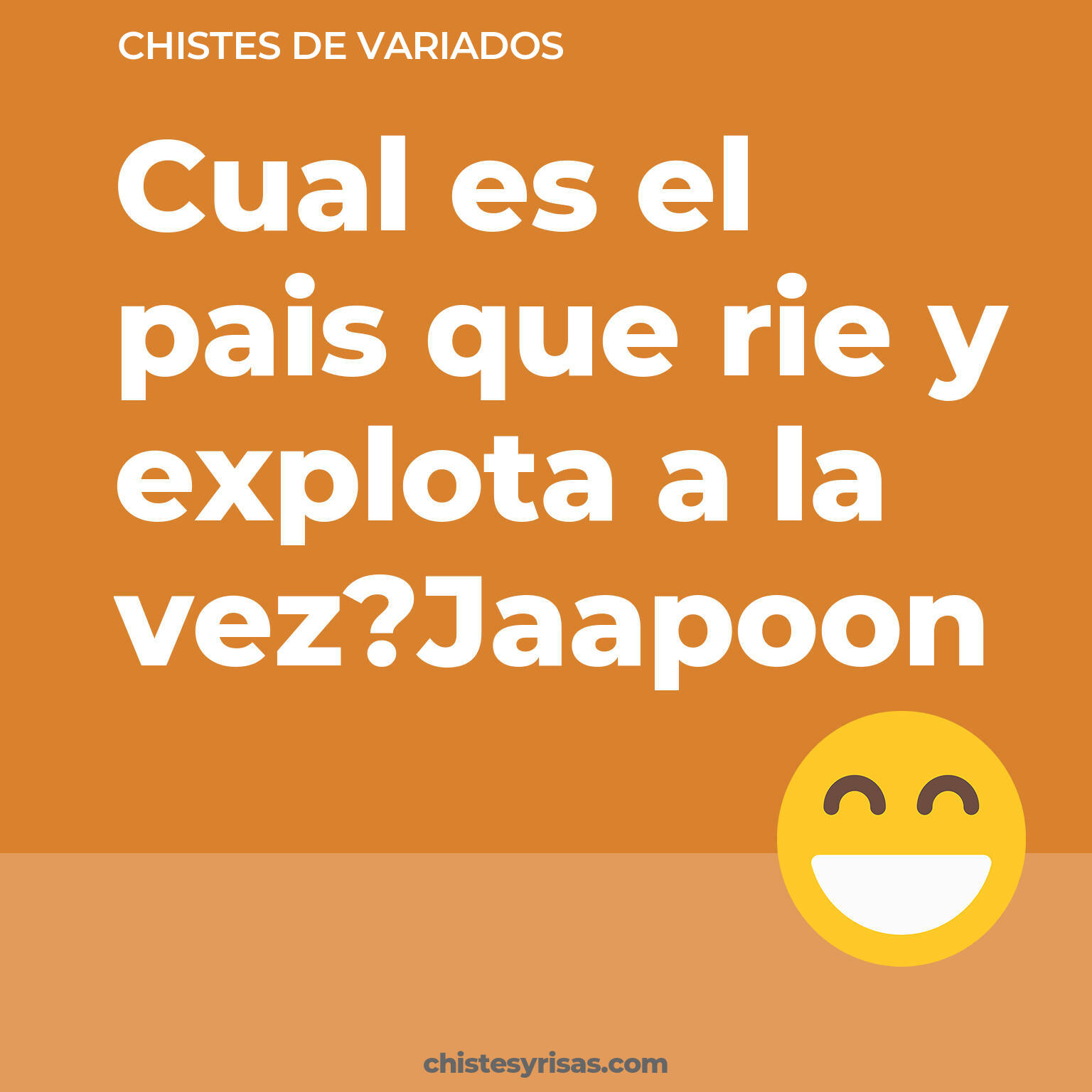 chistes de Variados más graciosos