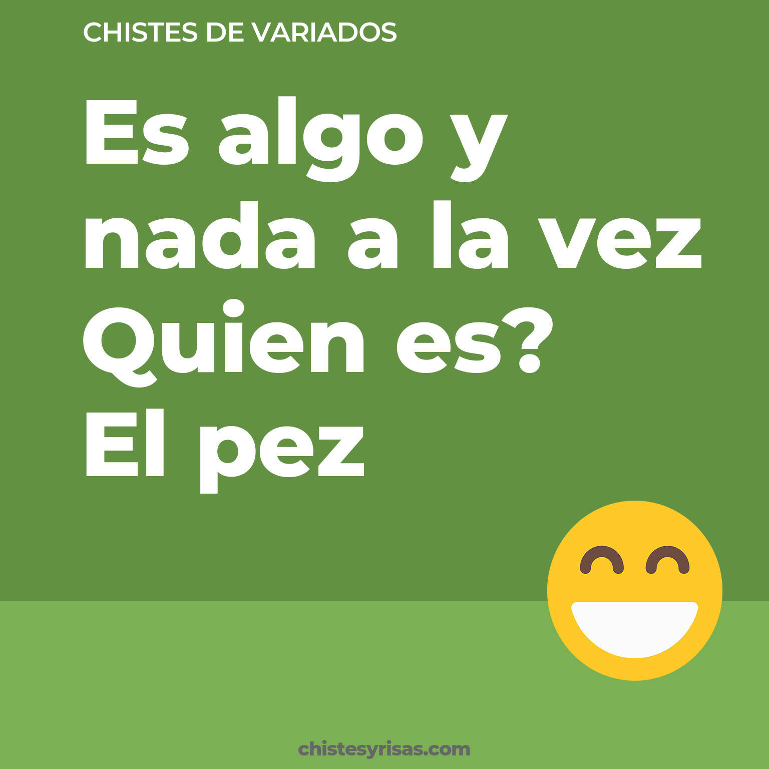 chistes de Variados buenos