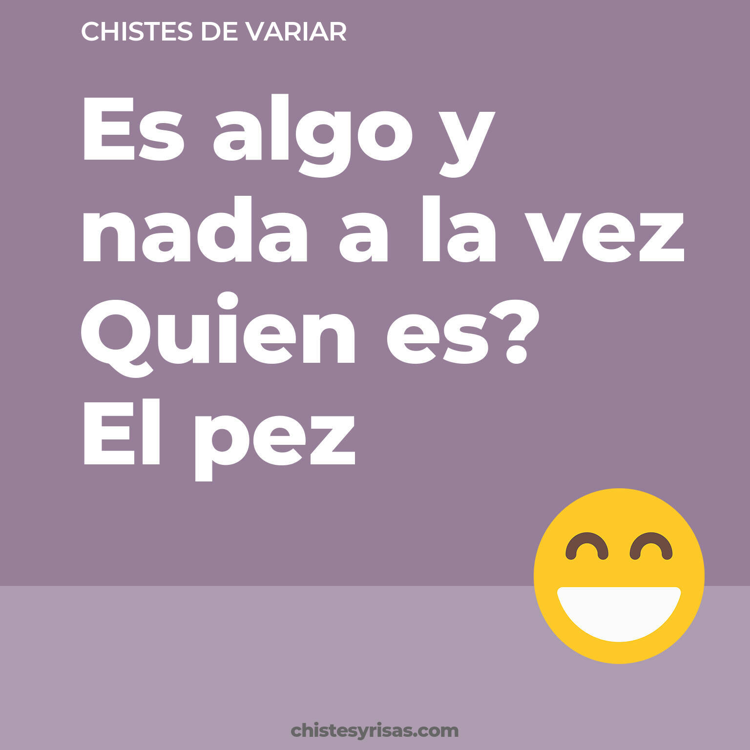 chistes de Variar buenos