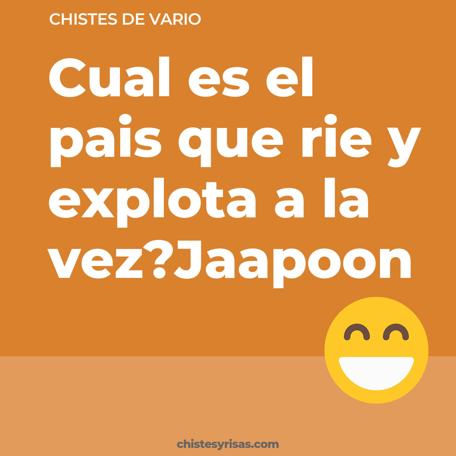 chistes de Vario más graciosos