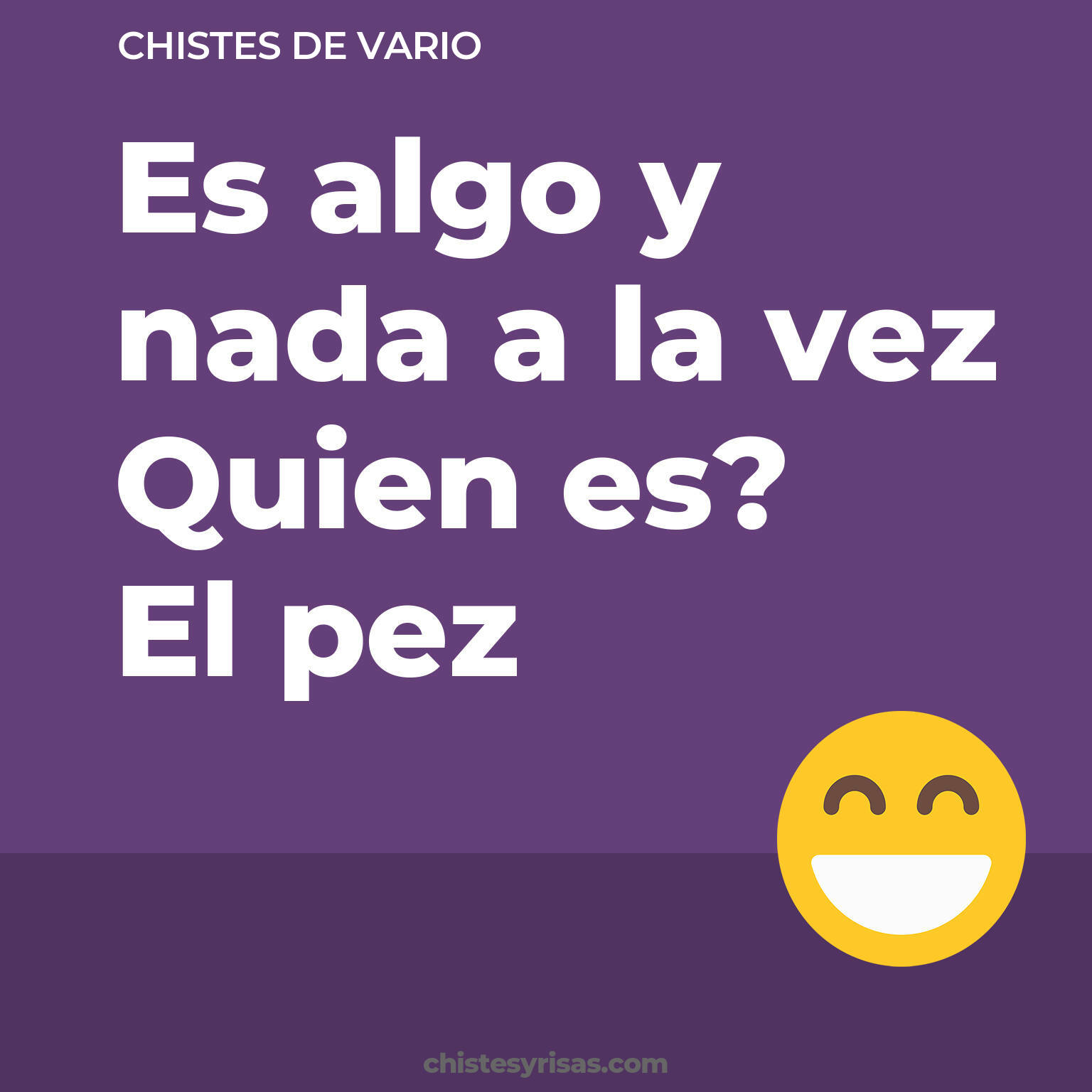 chistes de Vario buenos