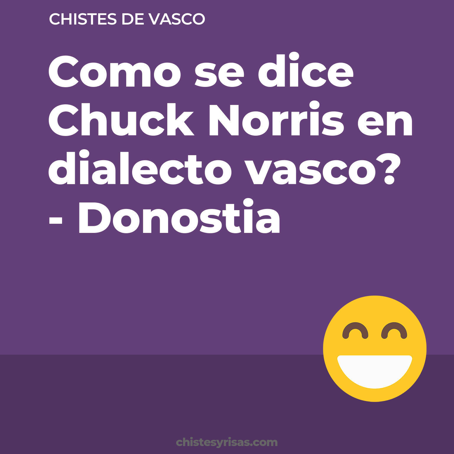 chistes de Vasco más graciosos