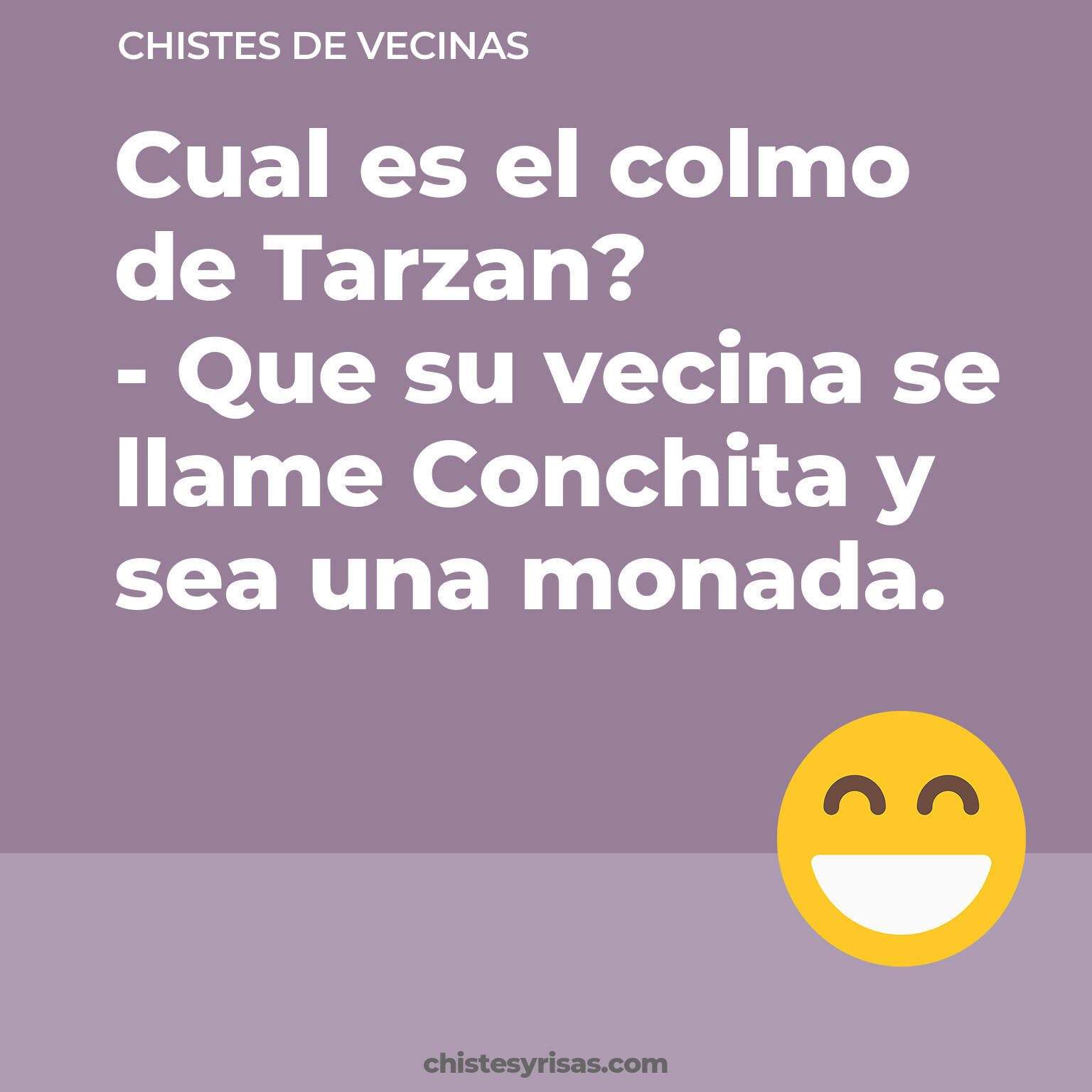 chistes de Vecinas buenos