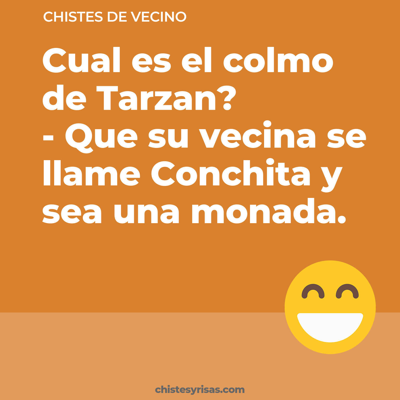 chistes de Vecino buenos