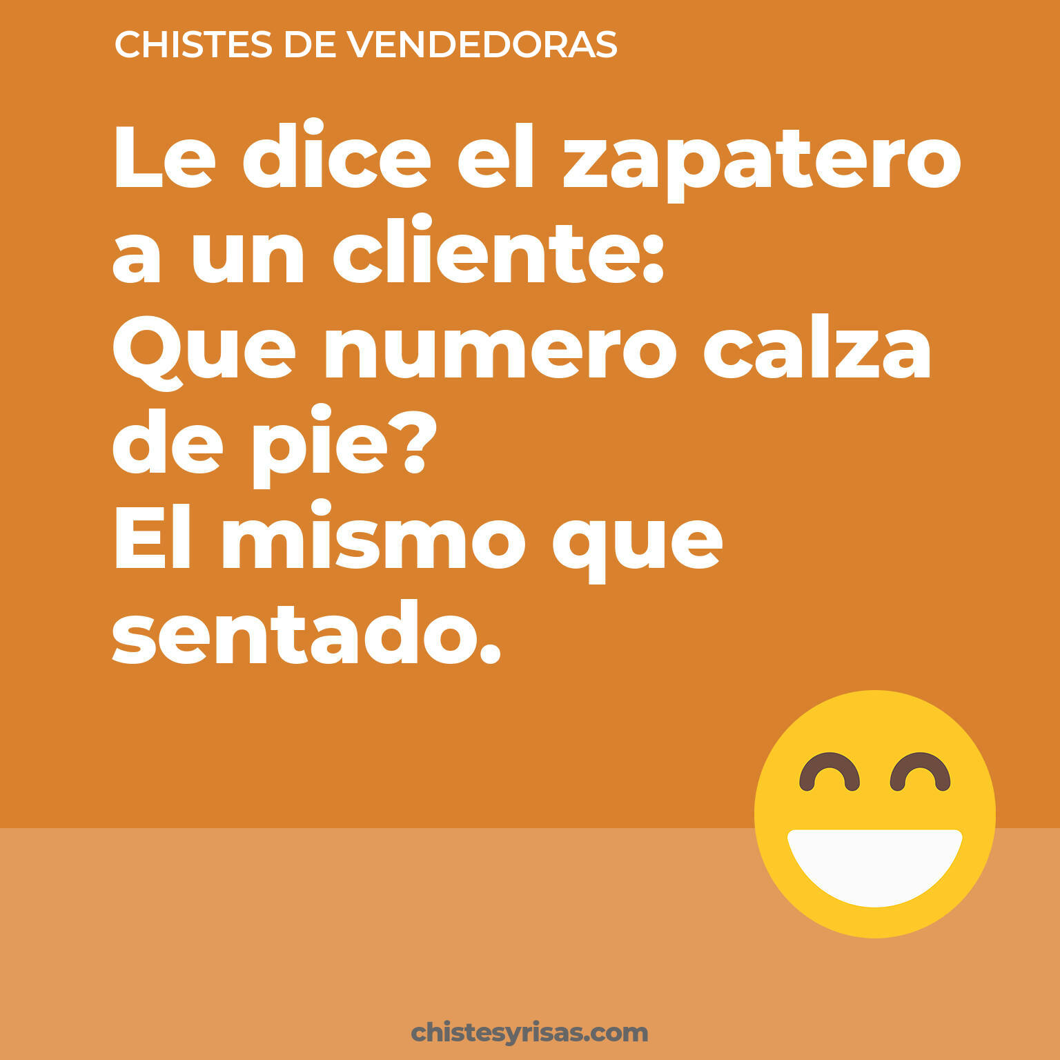 chistes de Vendedoras más graciosos