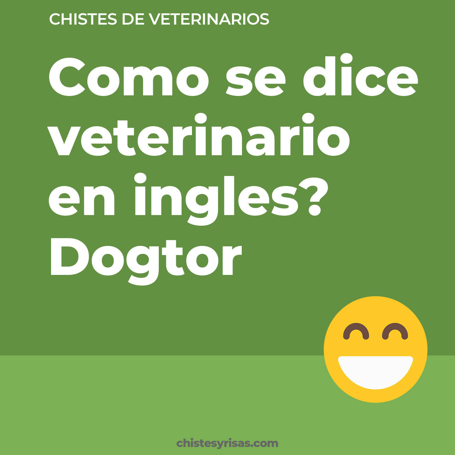 chistes de Veterinarios buenos