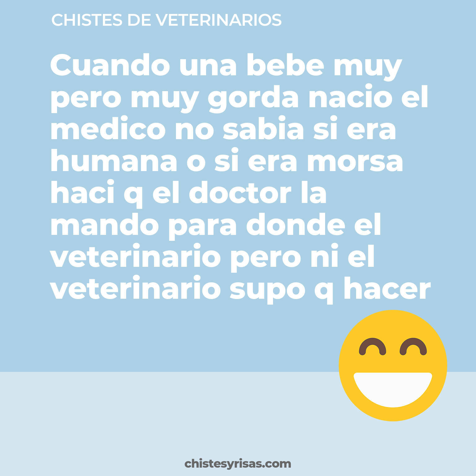 chistes de Veterinarios cortos