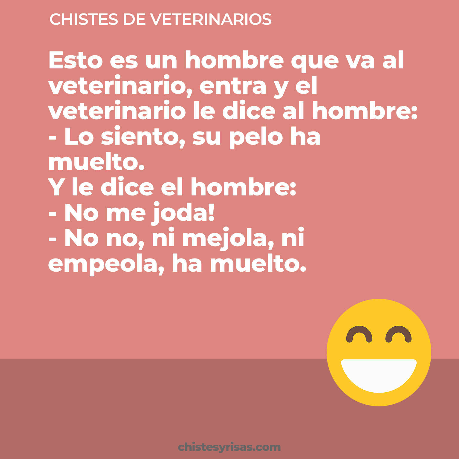 chistes de Veterinarios más graciosos