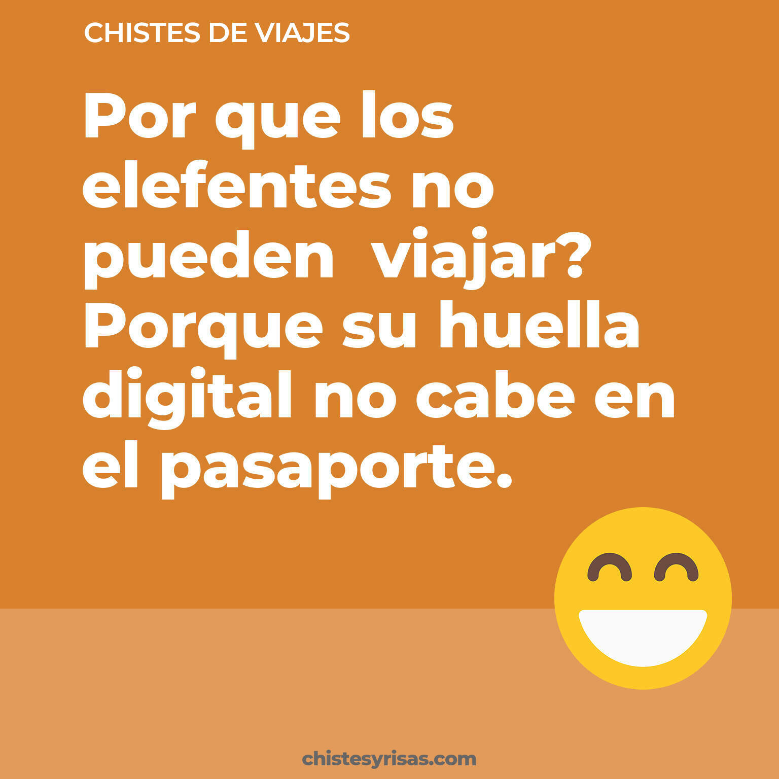 chistes de Viajes más graciosos