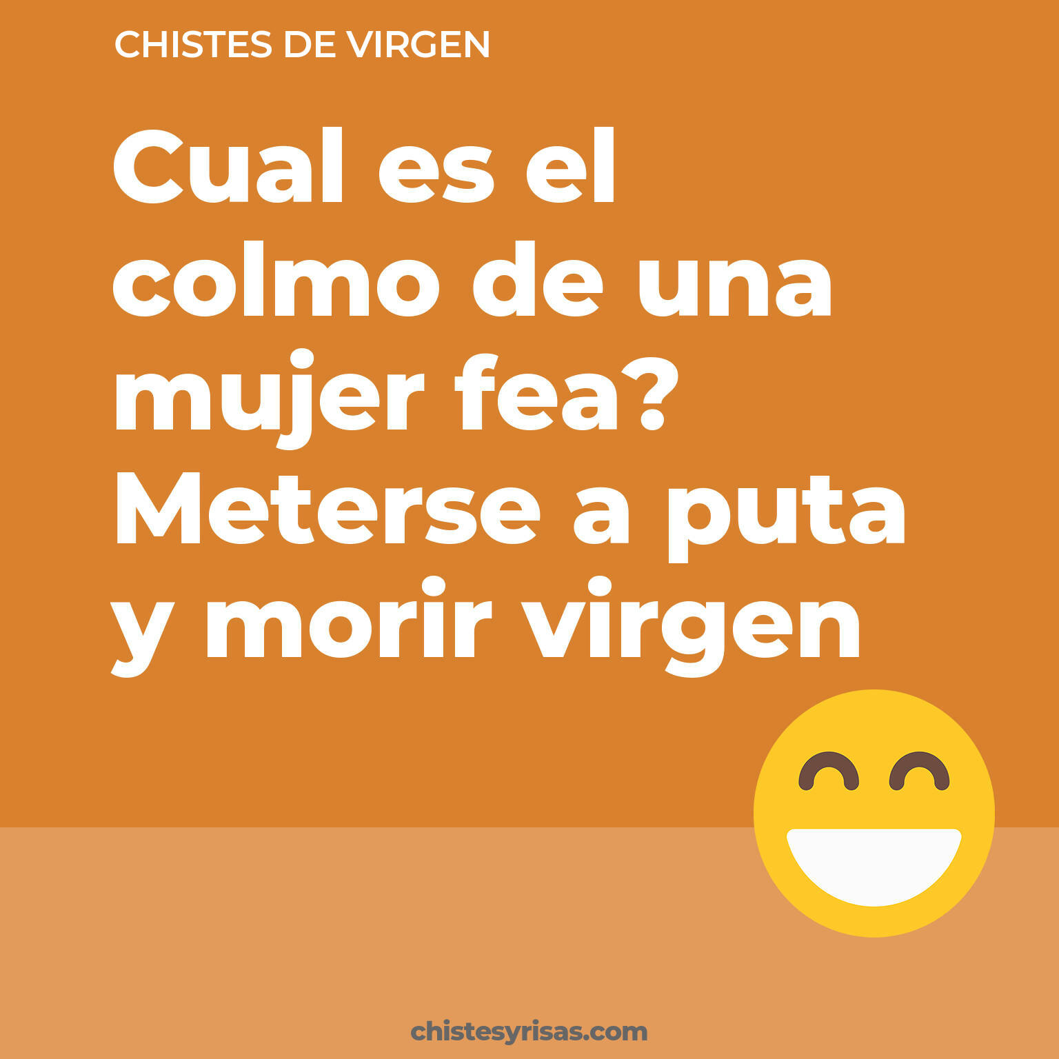 chistes de Virgen buenos