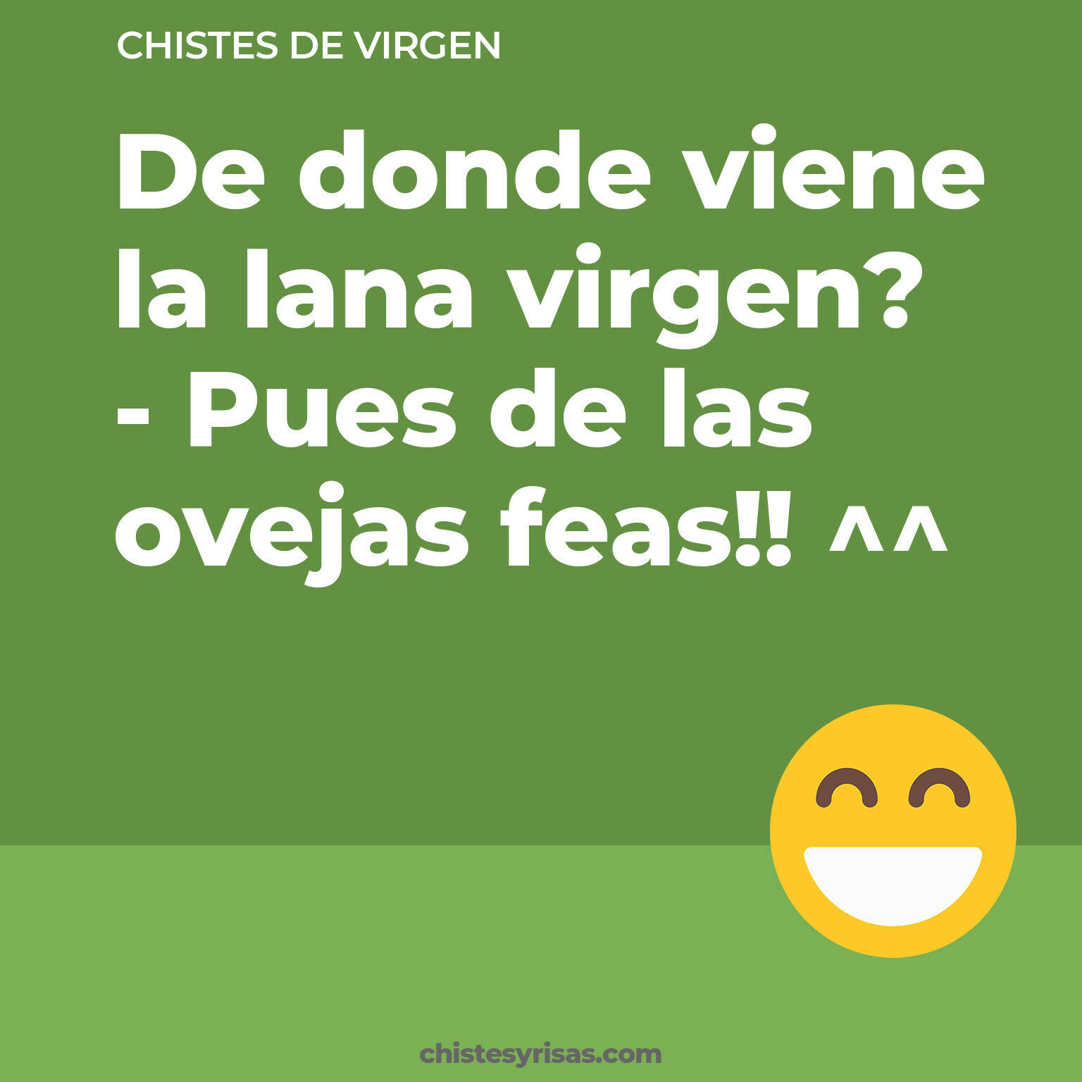 chistes de Virgen más graciosos