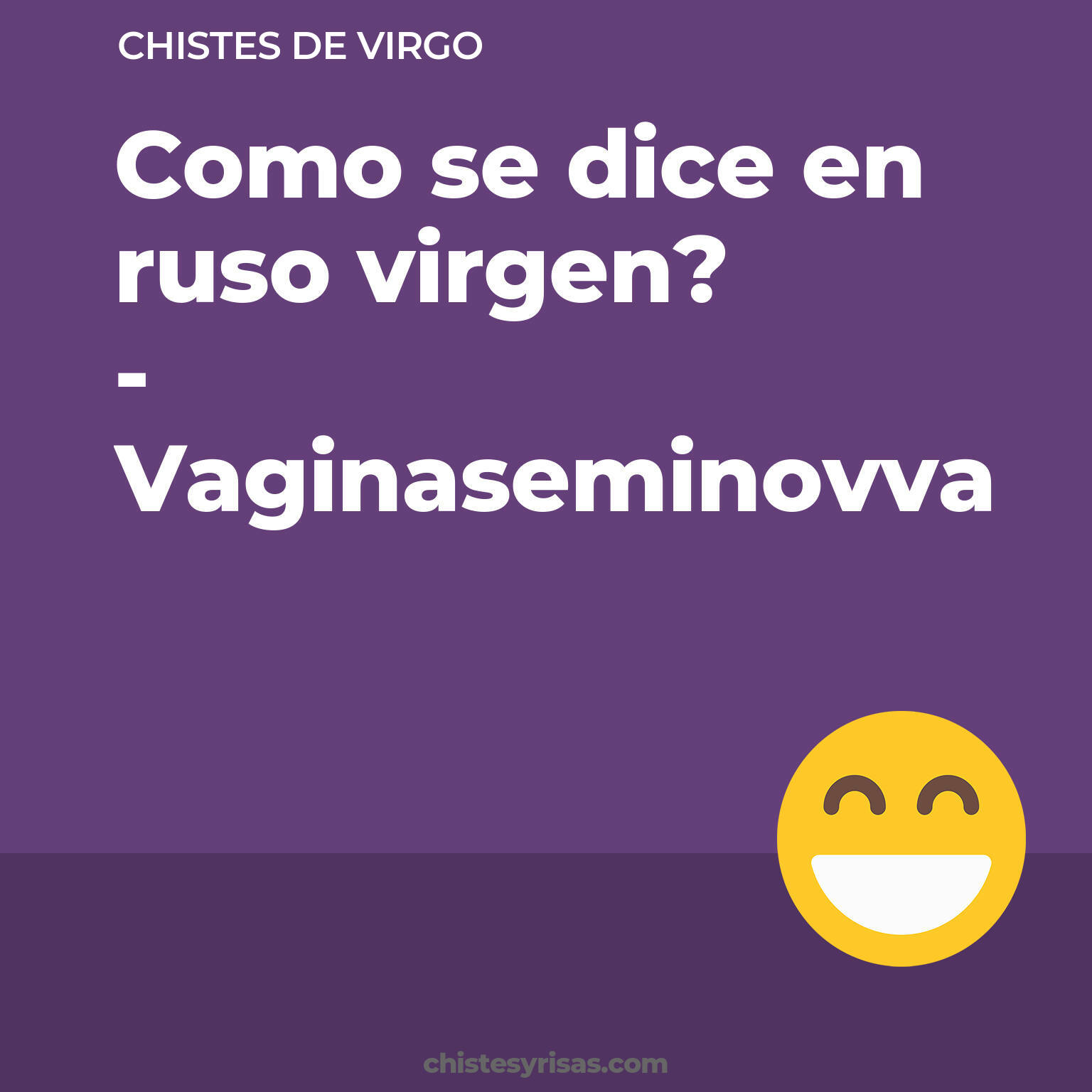 chistes de Virgo cortos