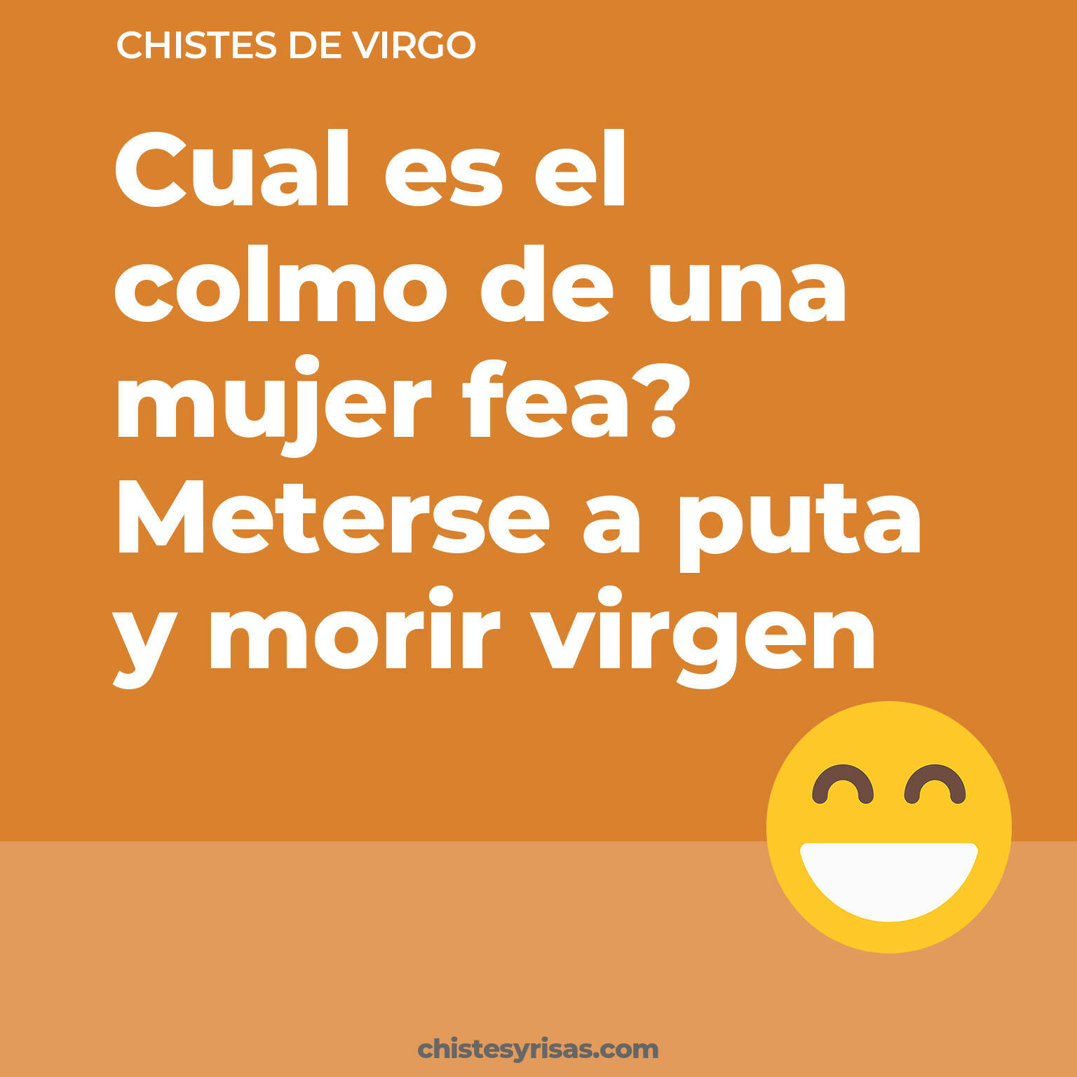chistes de Virgo buenos foto para reir
