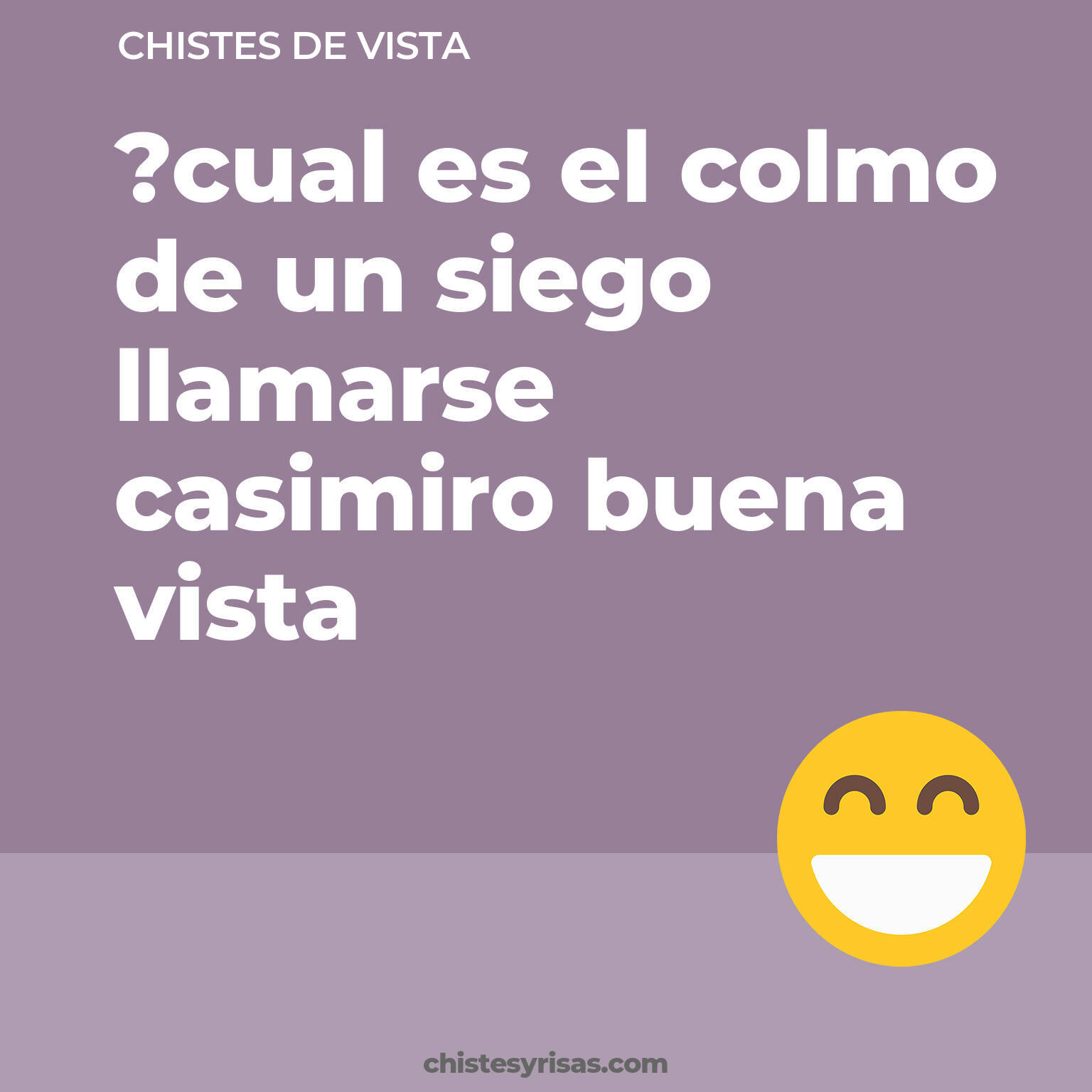 chistes de Vista más graciosos