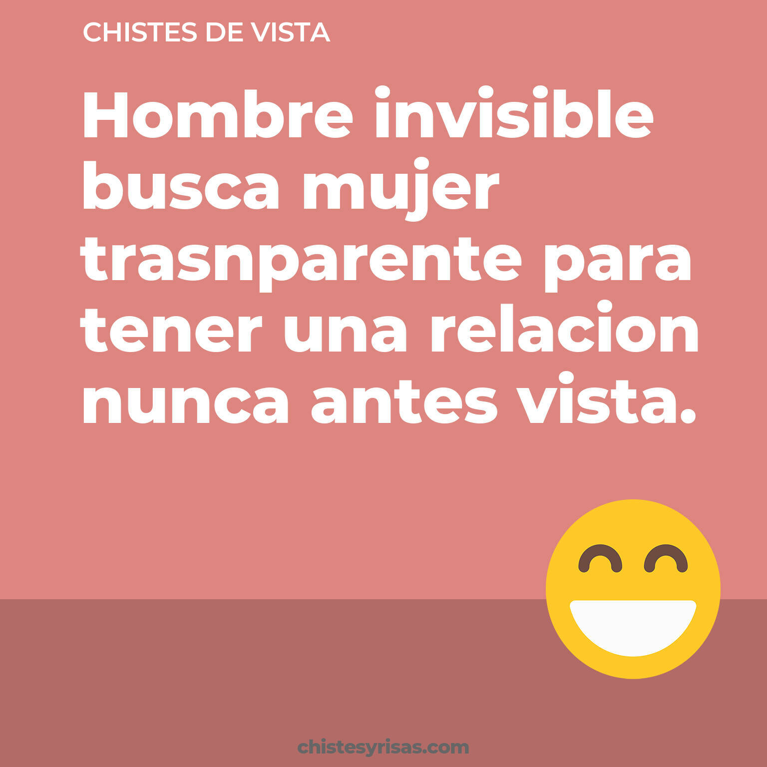 chistes de Vista cortos