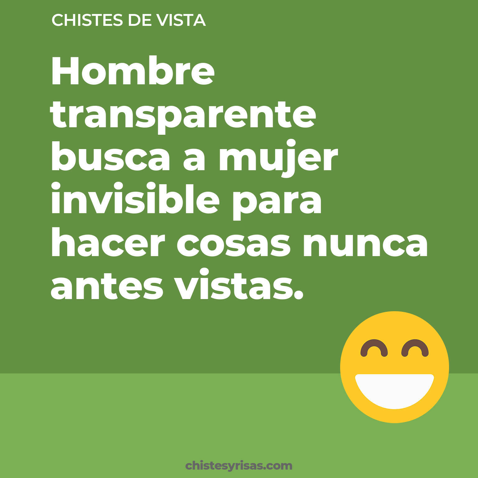 chistes de Vista buenos