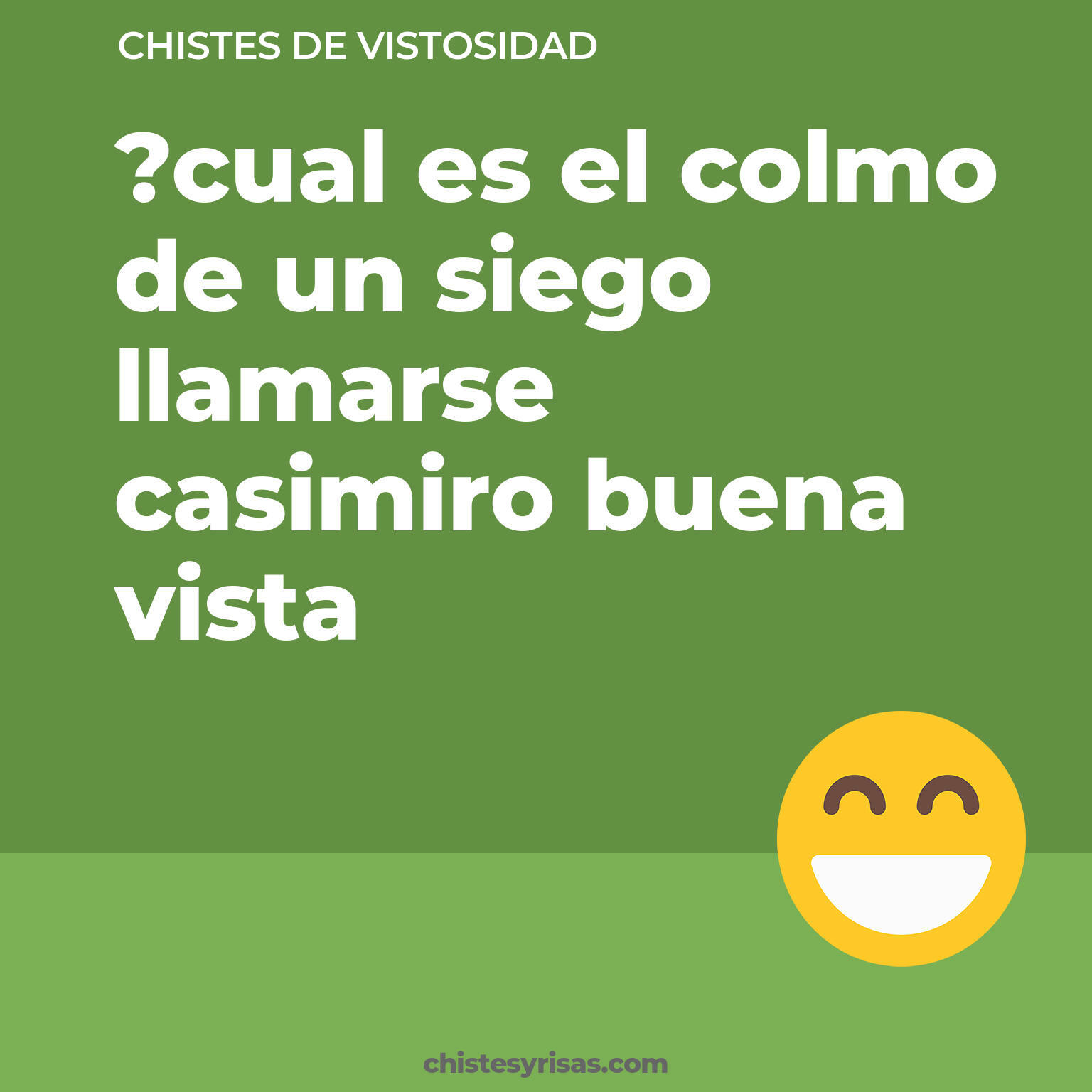 chistes de Vistosidad más graciosos