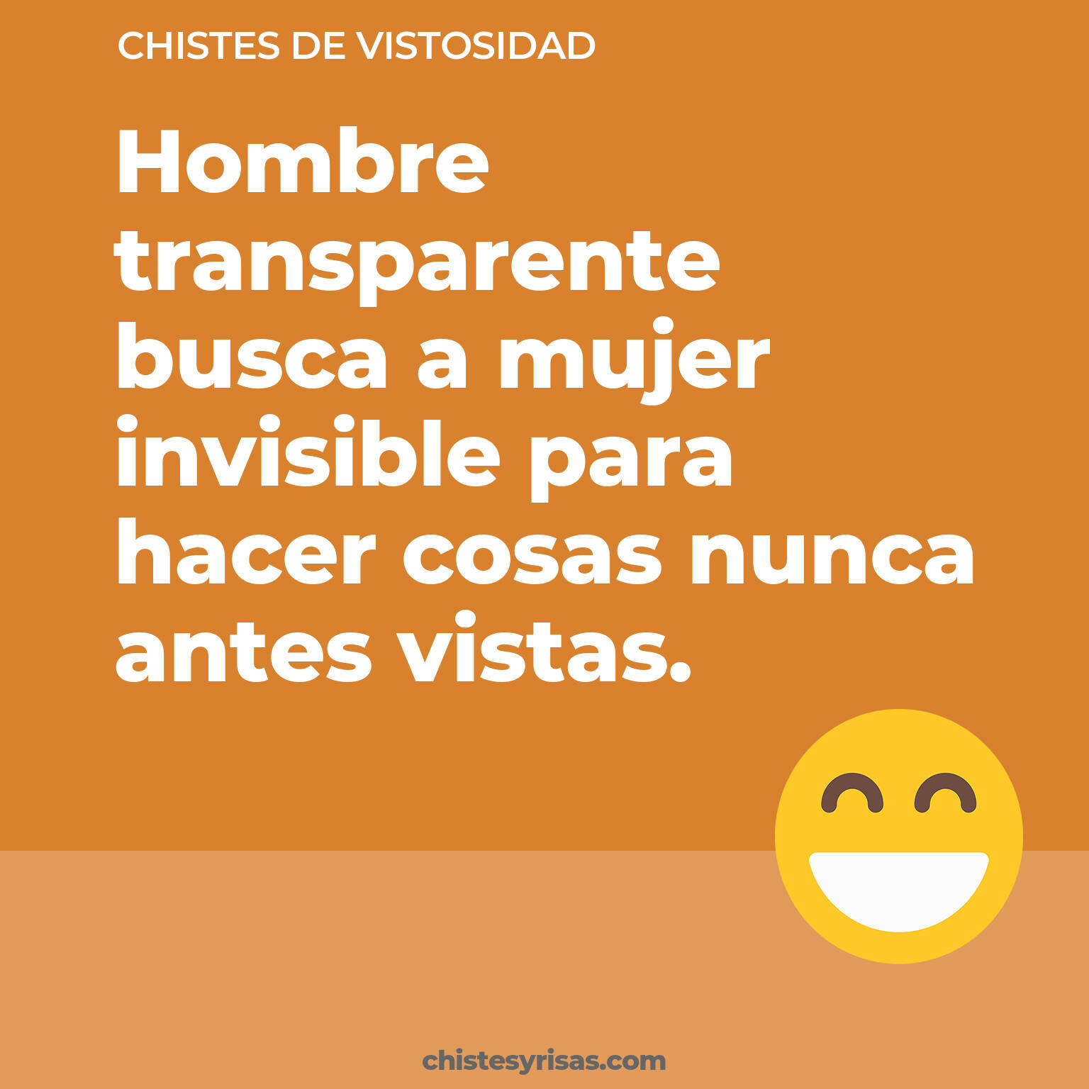 chistes de Vistosidad buenos