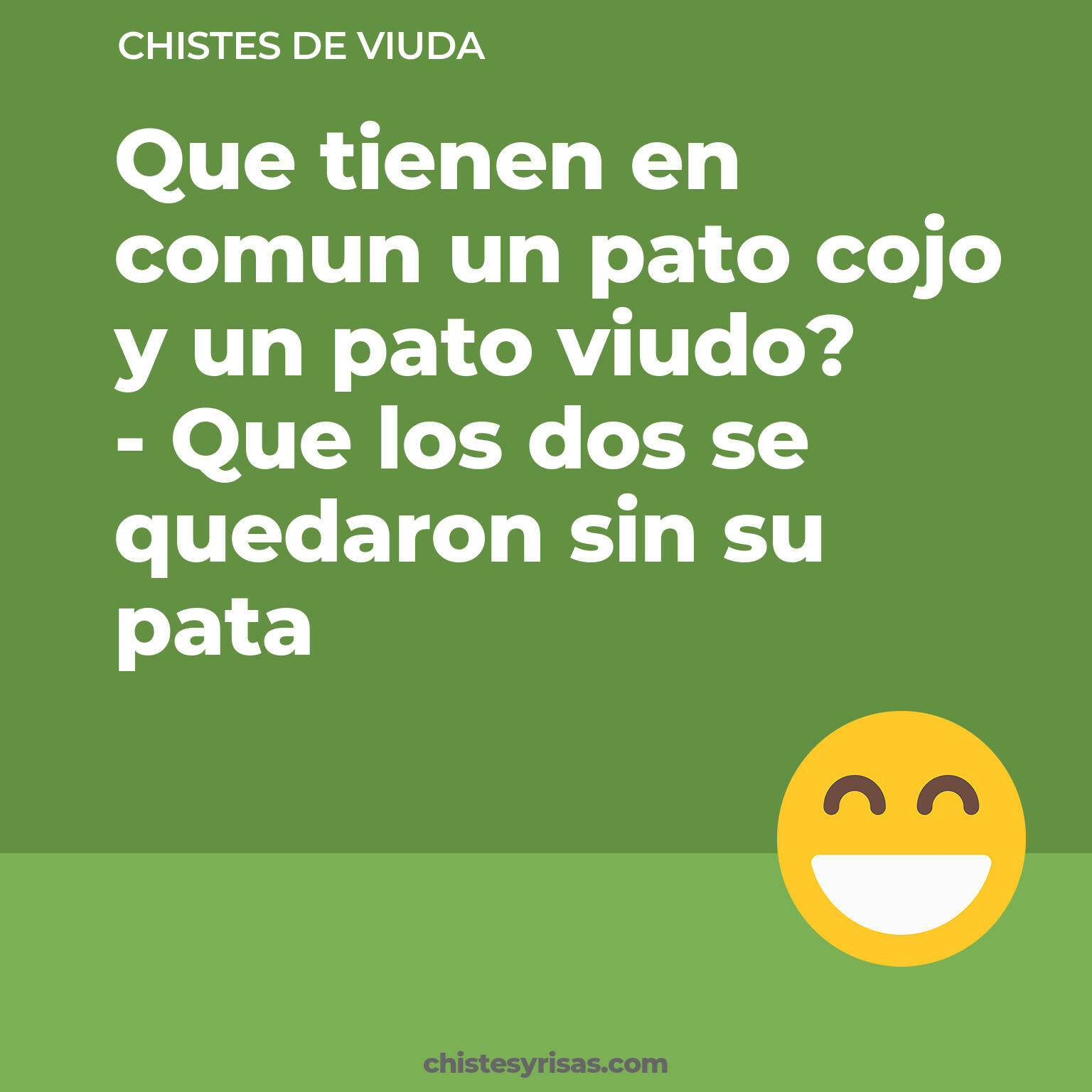 chistes de Viuda cortos