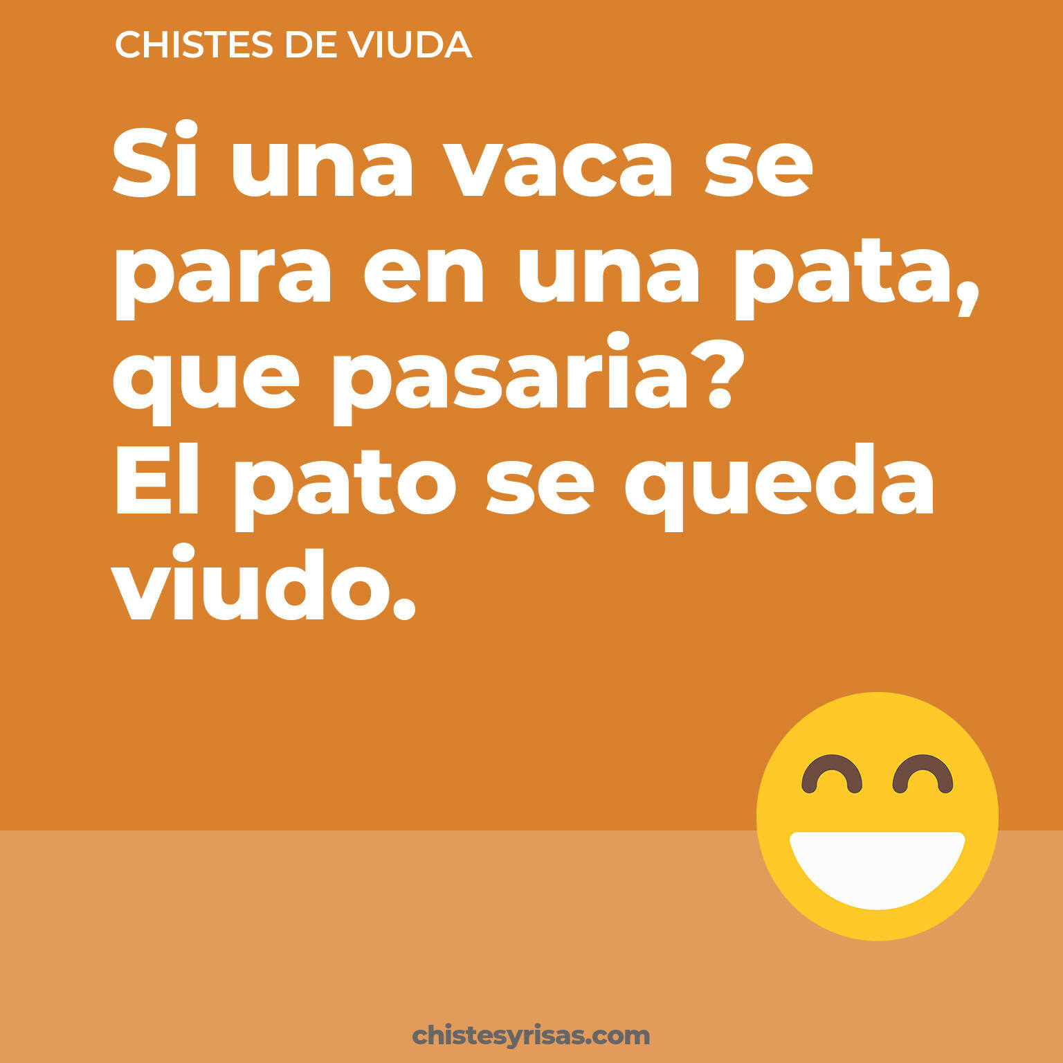 chistes de Viuda más graciosos