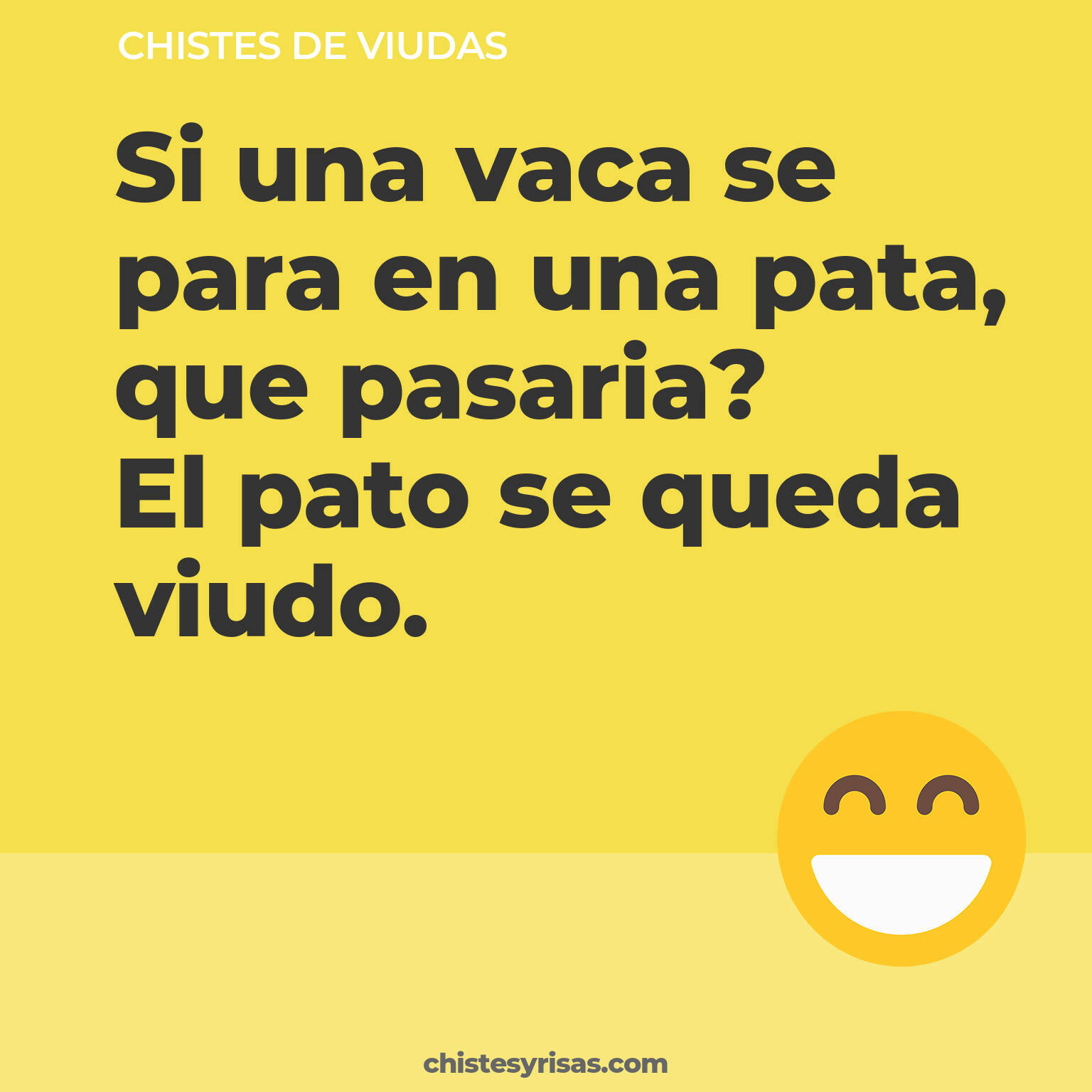 chistes de Viudas más graciosos