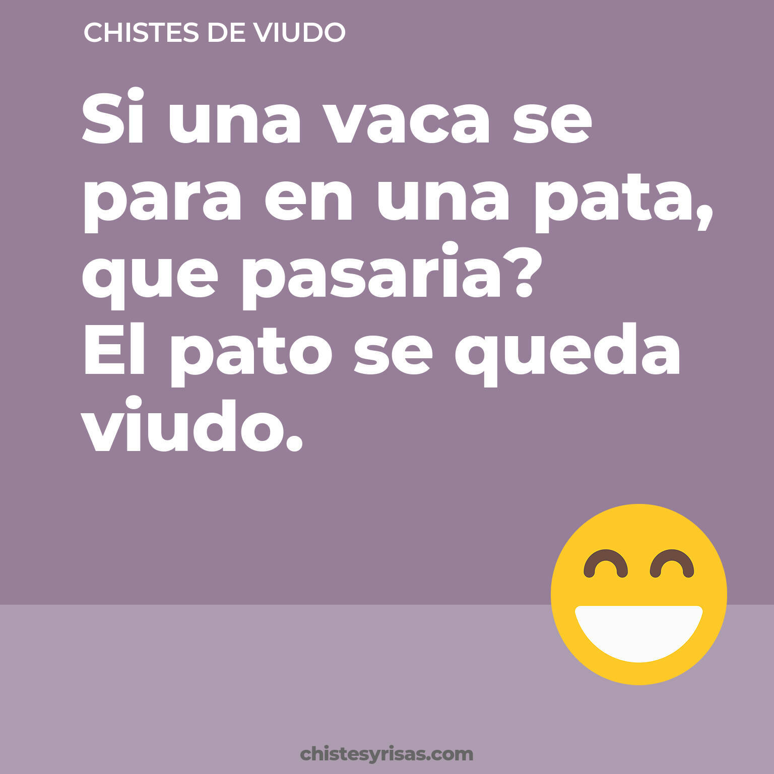 chistes de Viudo más graciosos