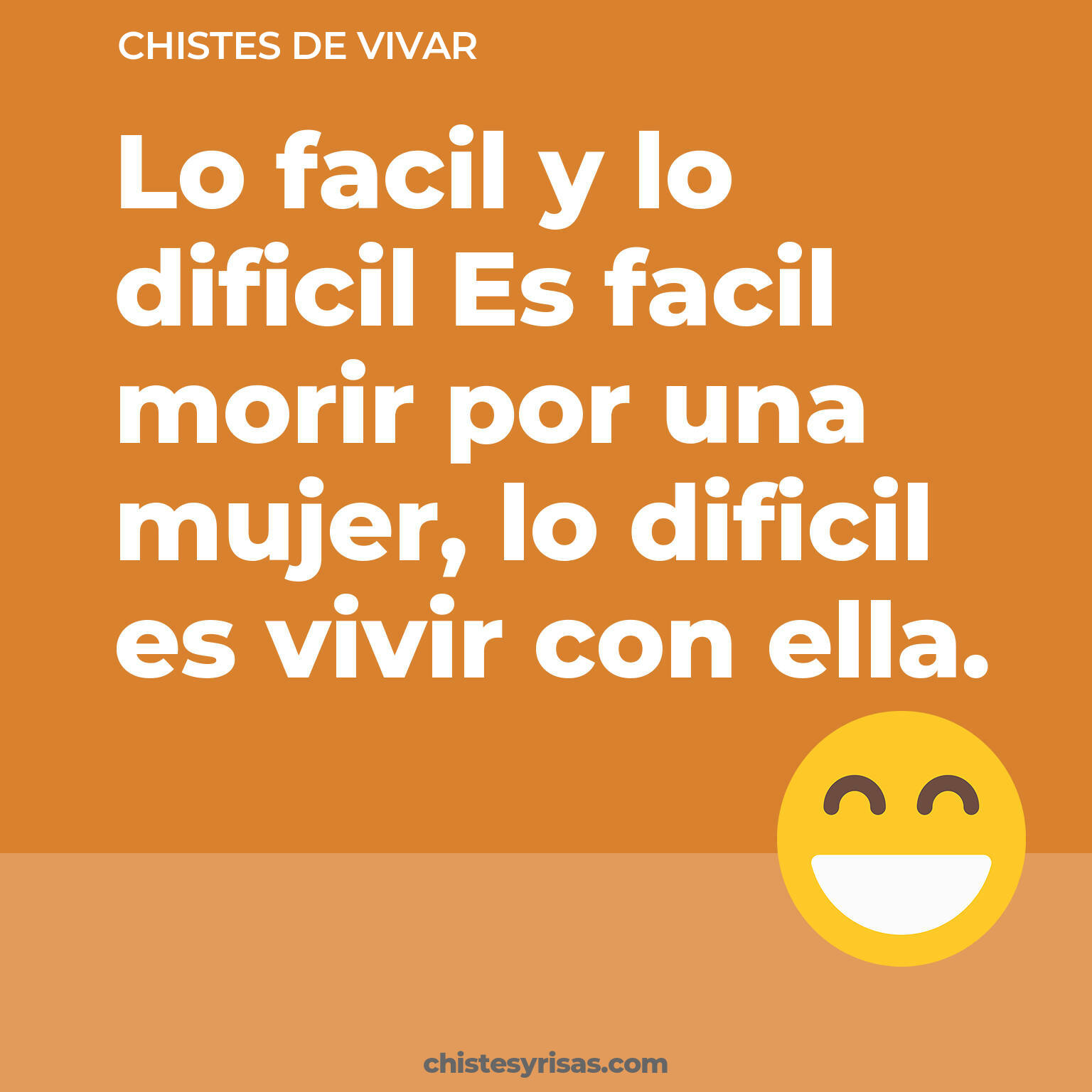 chistes de Vivar cortos