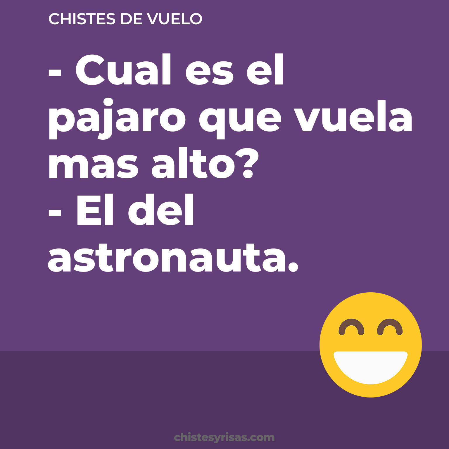 chistes de Vuelo buenos