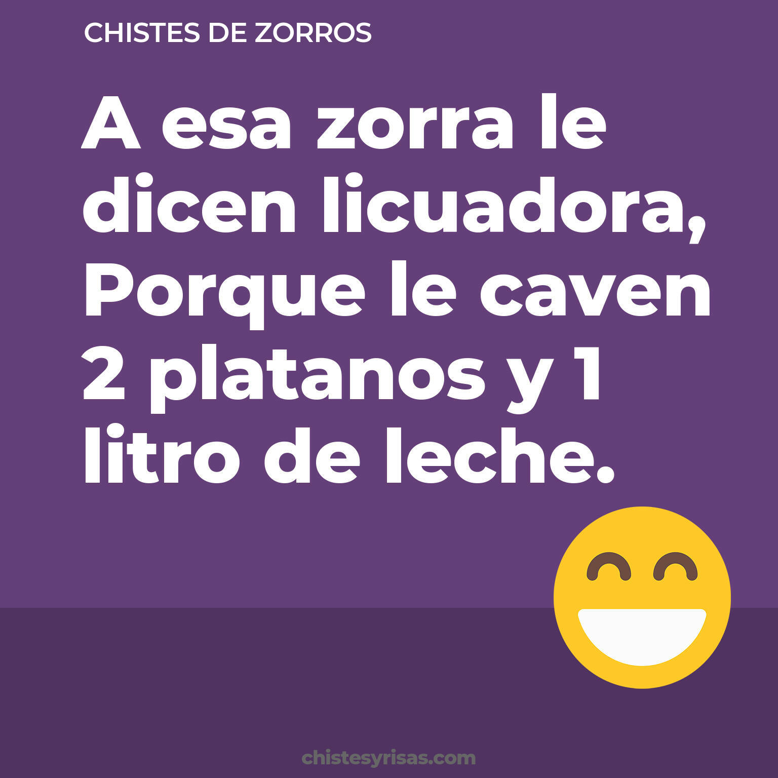 chistes de Zorros más graciosos