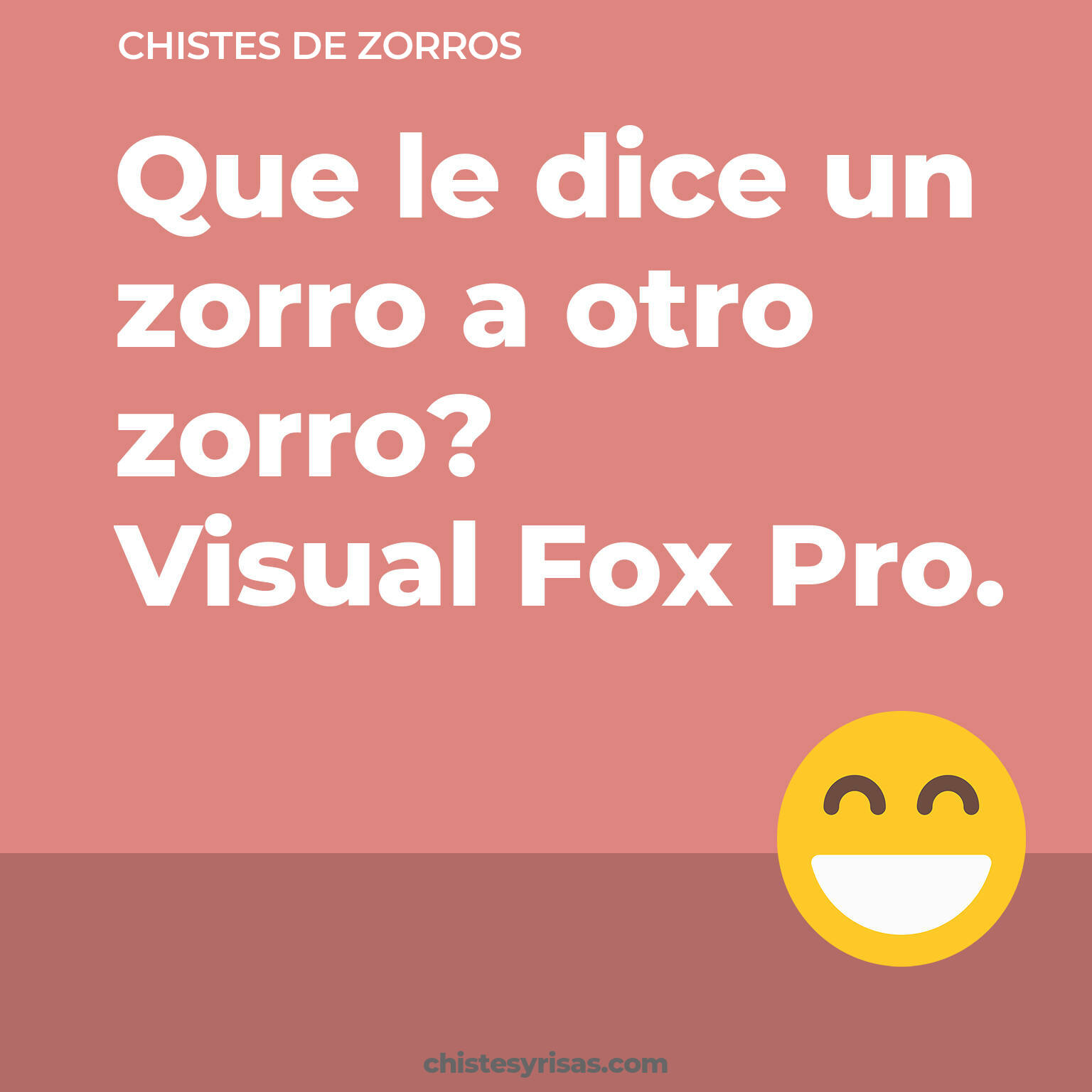 chistes de Zorros buenos